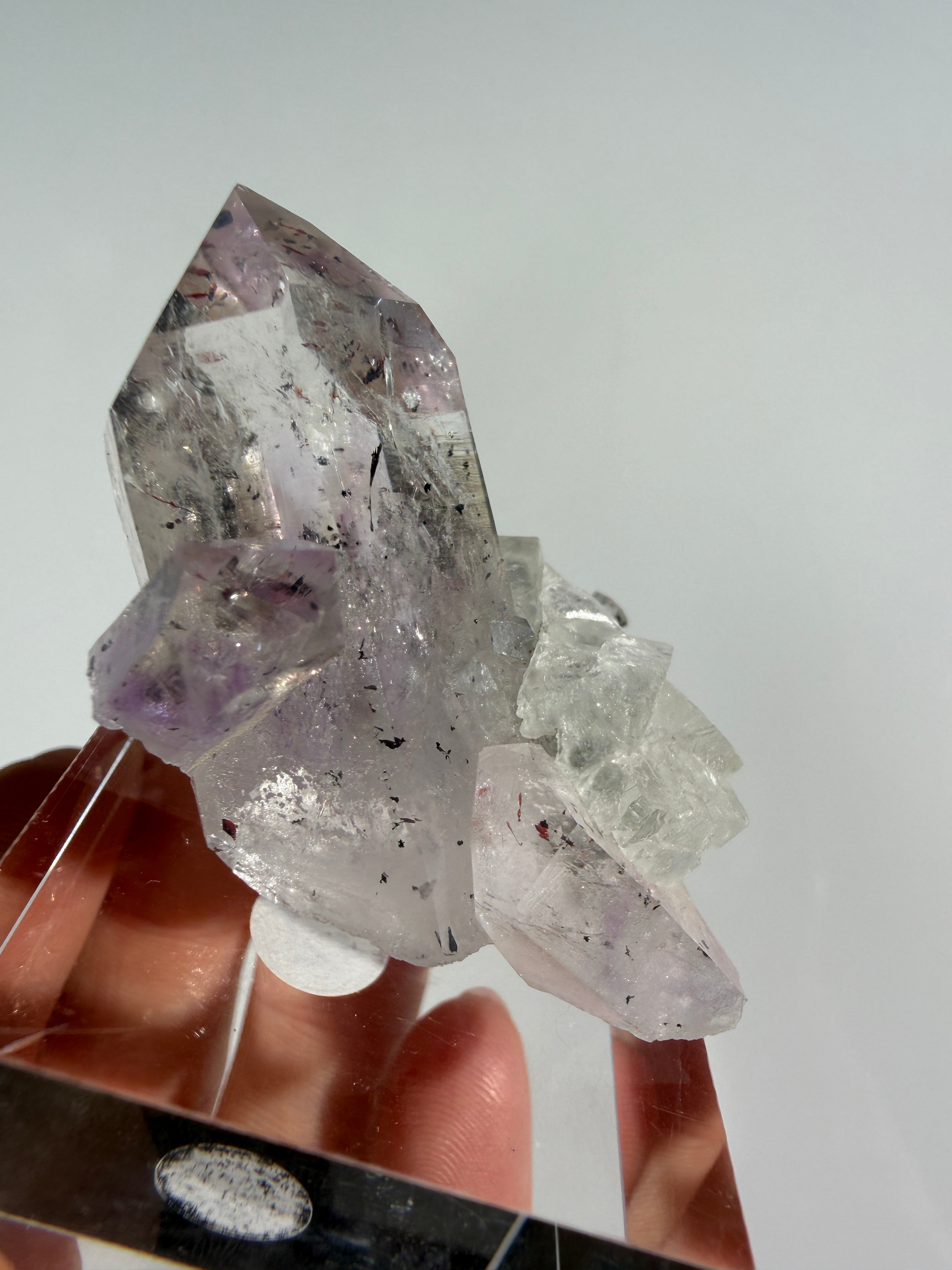 Streep Mine Amethyst | Vitrinenstück Nr.12 / Calcit-Überzug