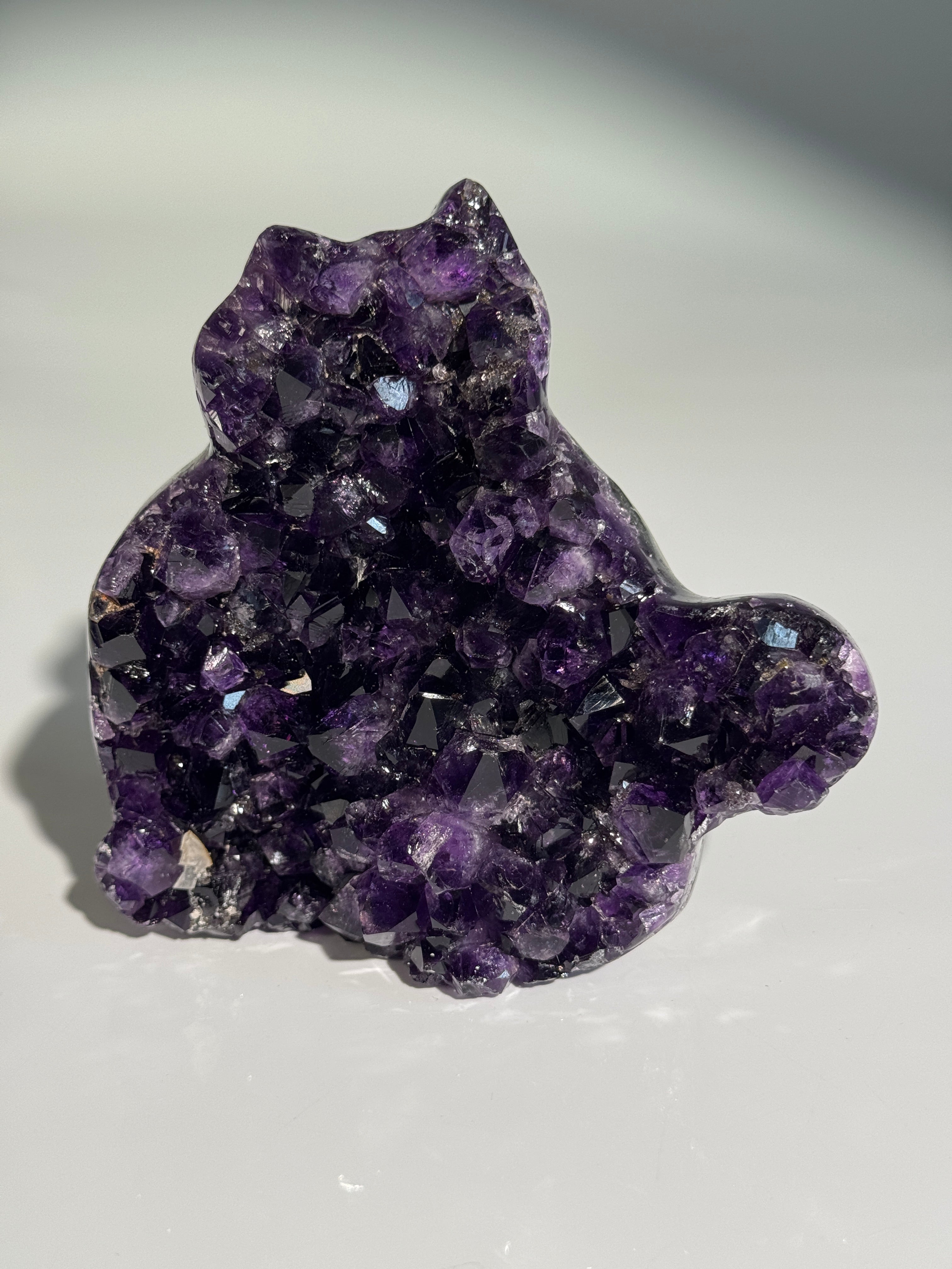 Amethyst Katze L