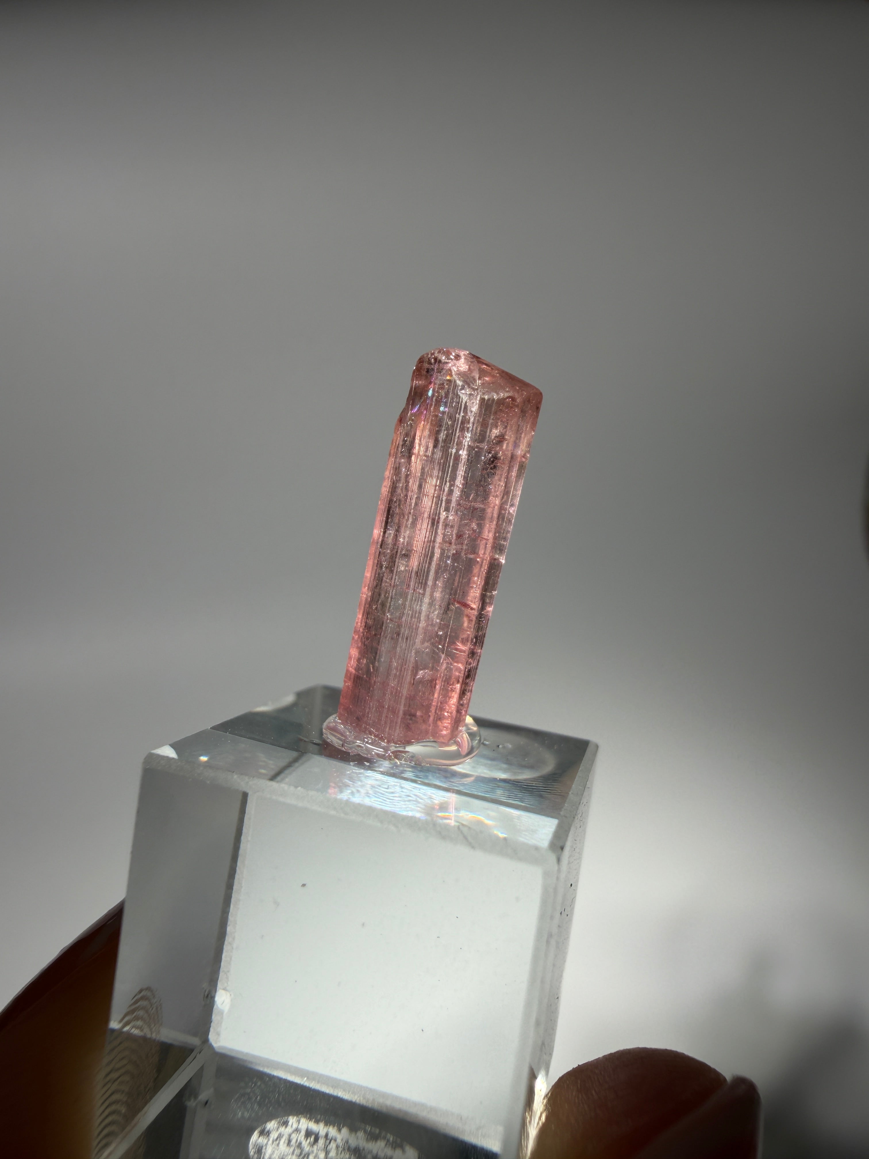Pink Turmalin Specimen | High Quality