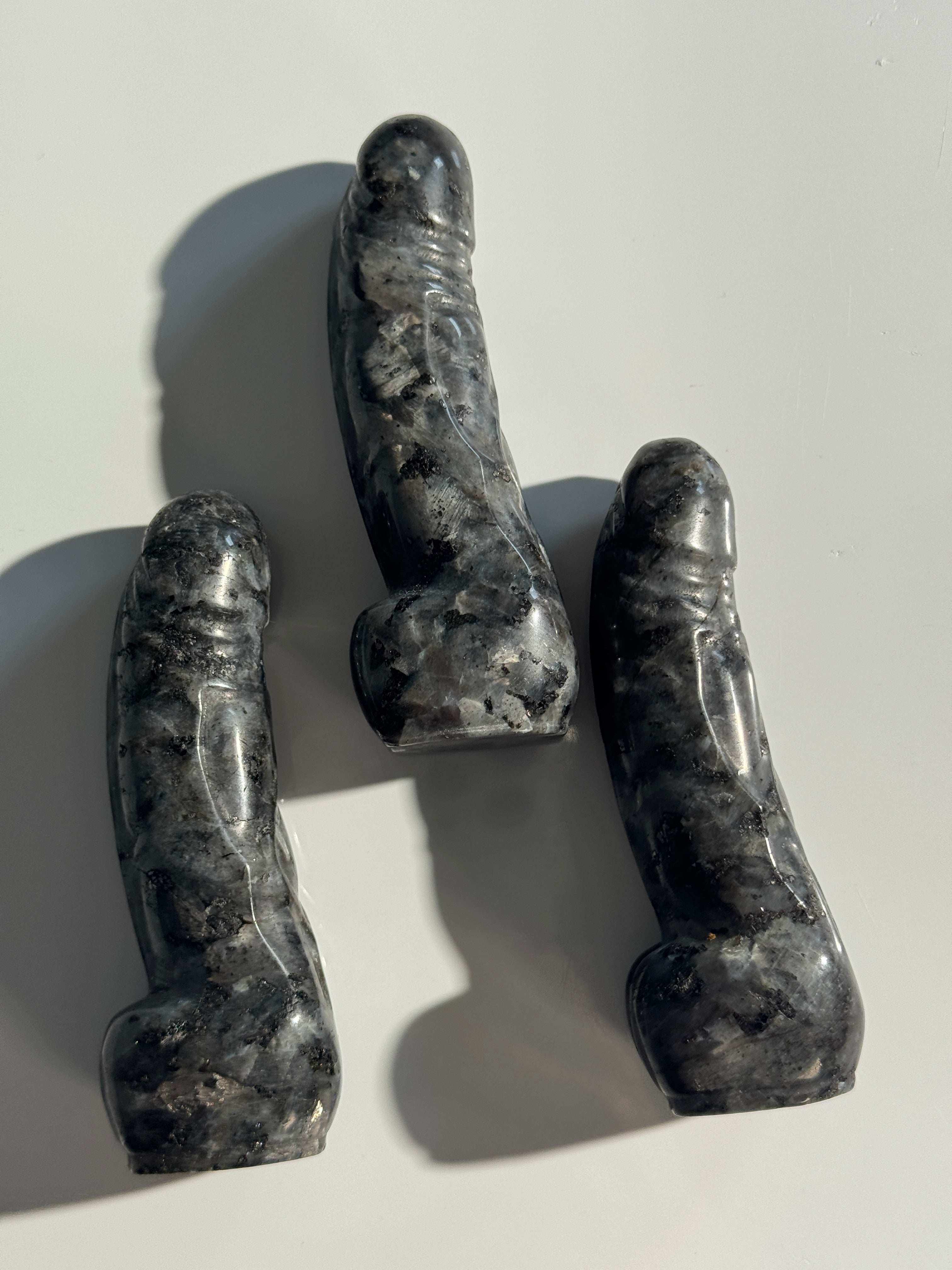 Larvikit Phallus
