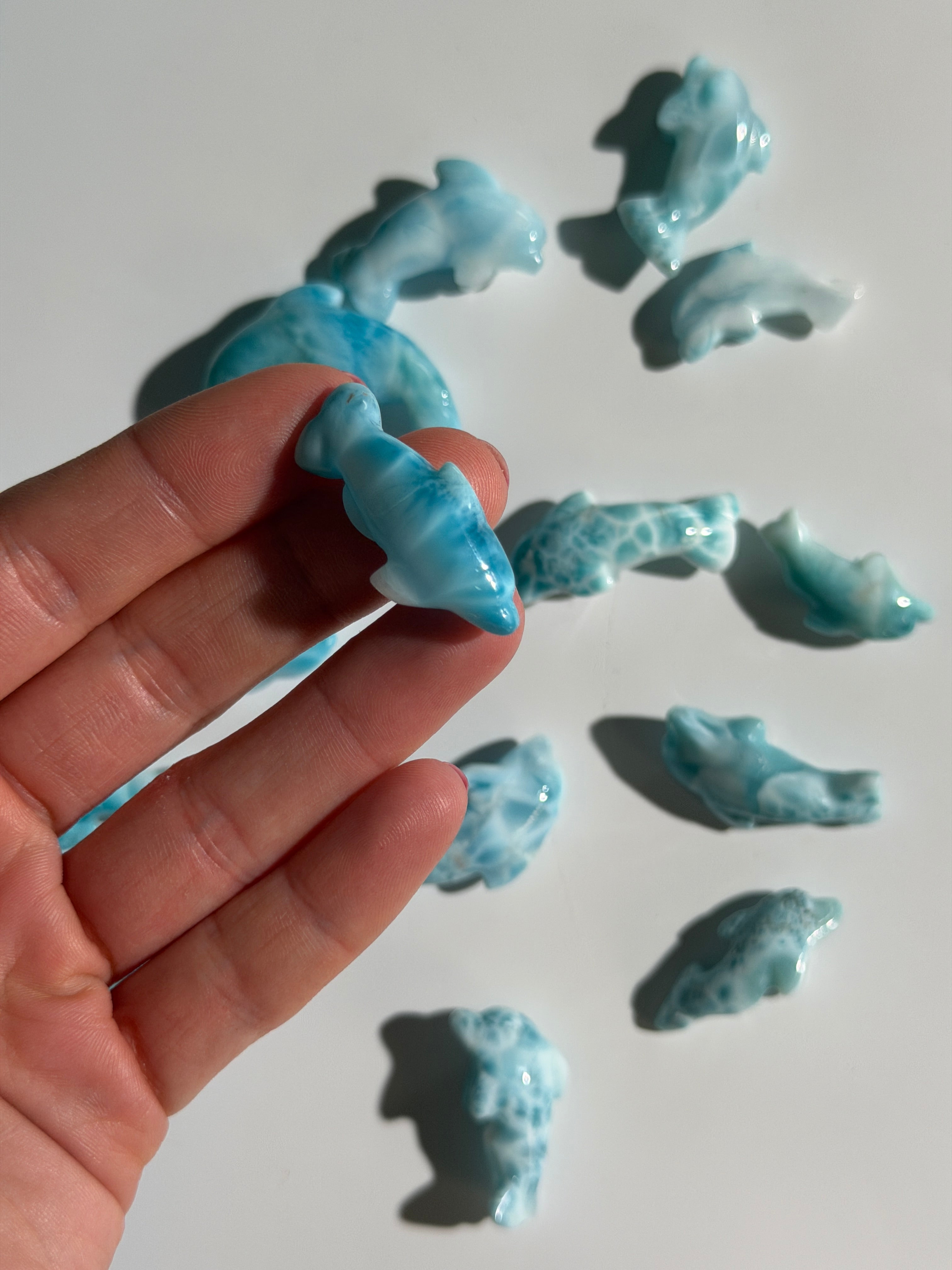 Larimar Delfin | High Quality