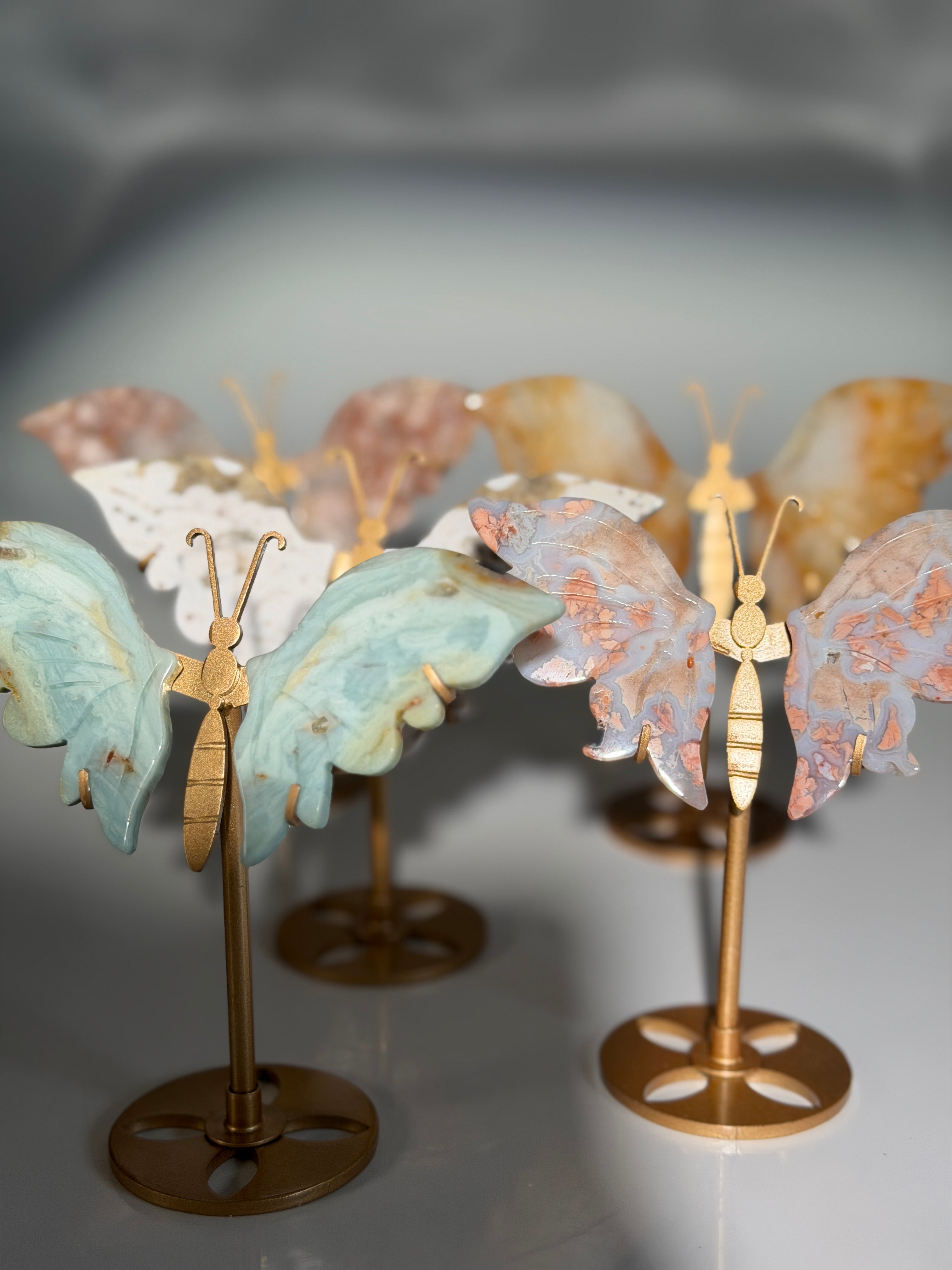 Mystery Schmetterling