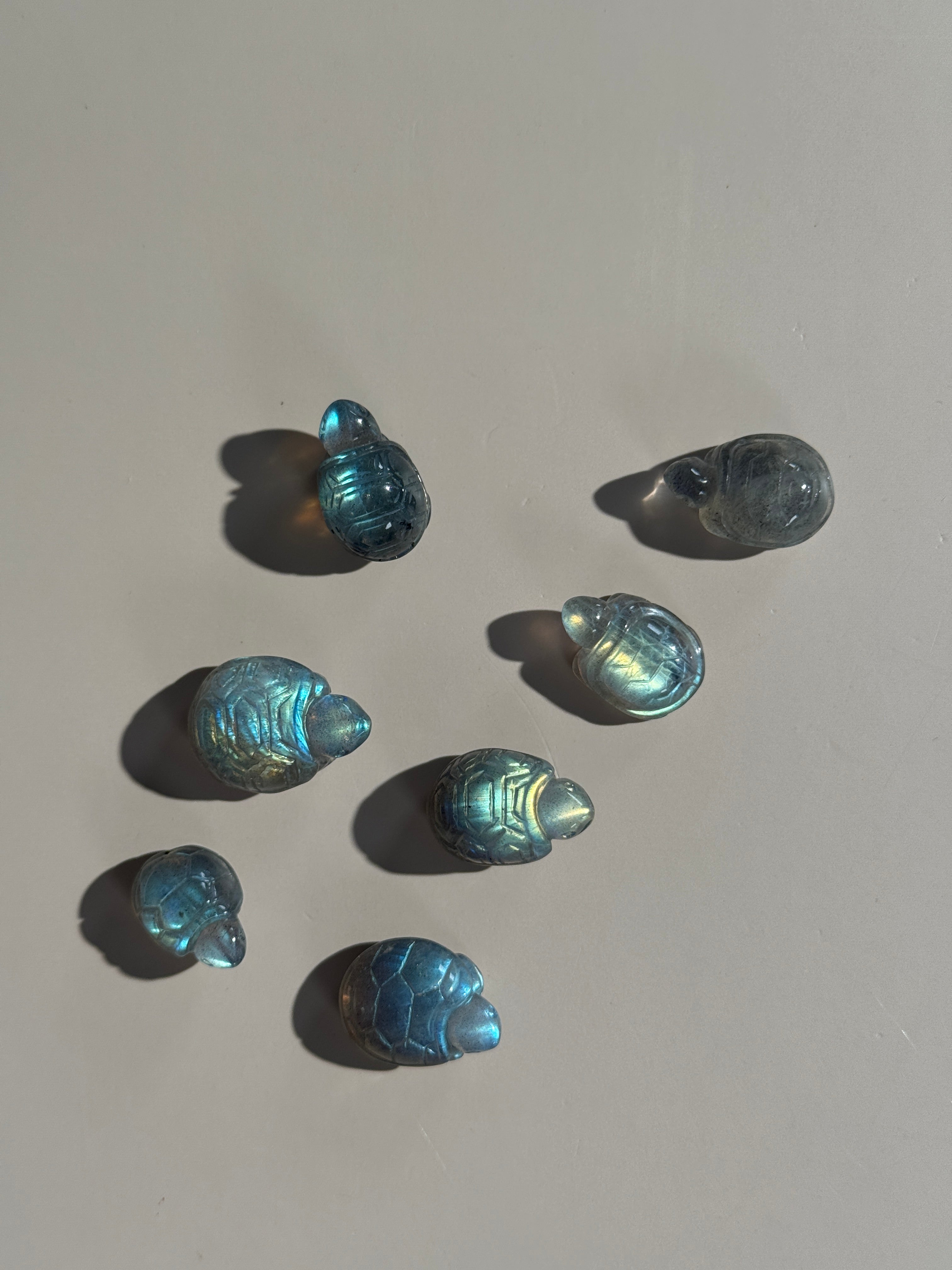Labradorit Schildkröte Mini