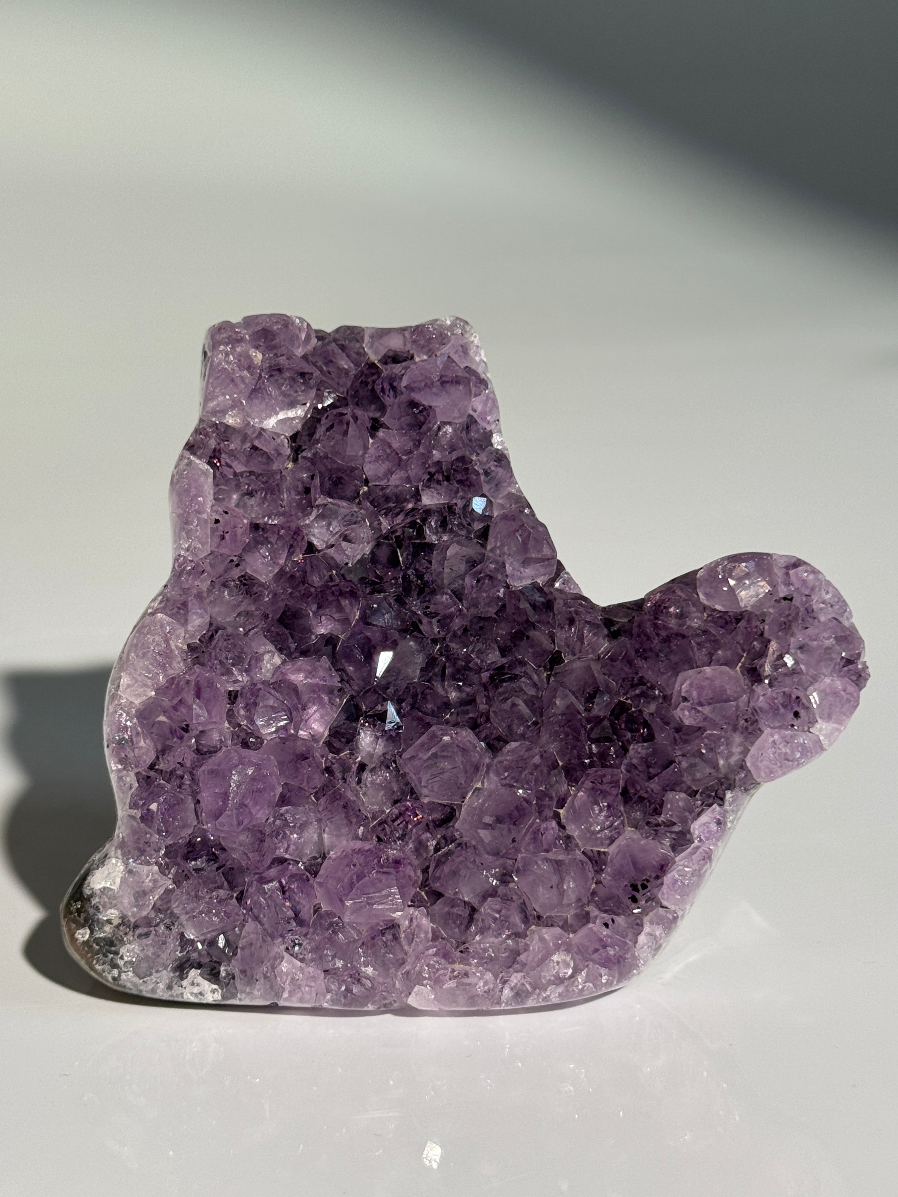 Amethyst Katze M