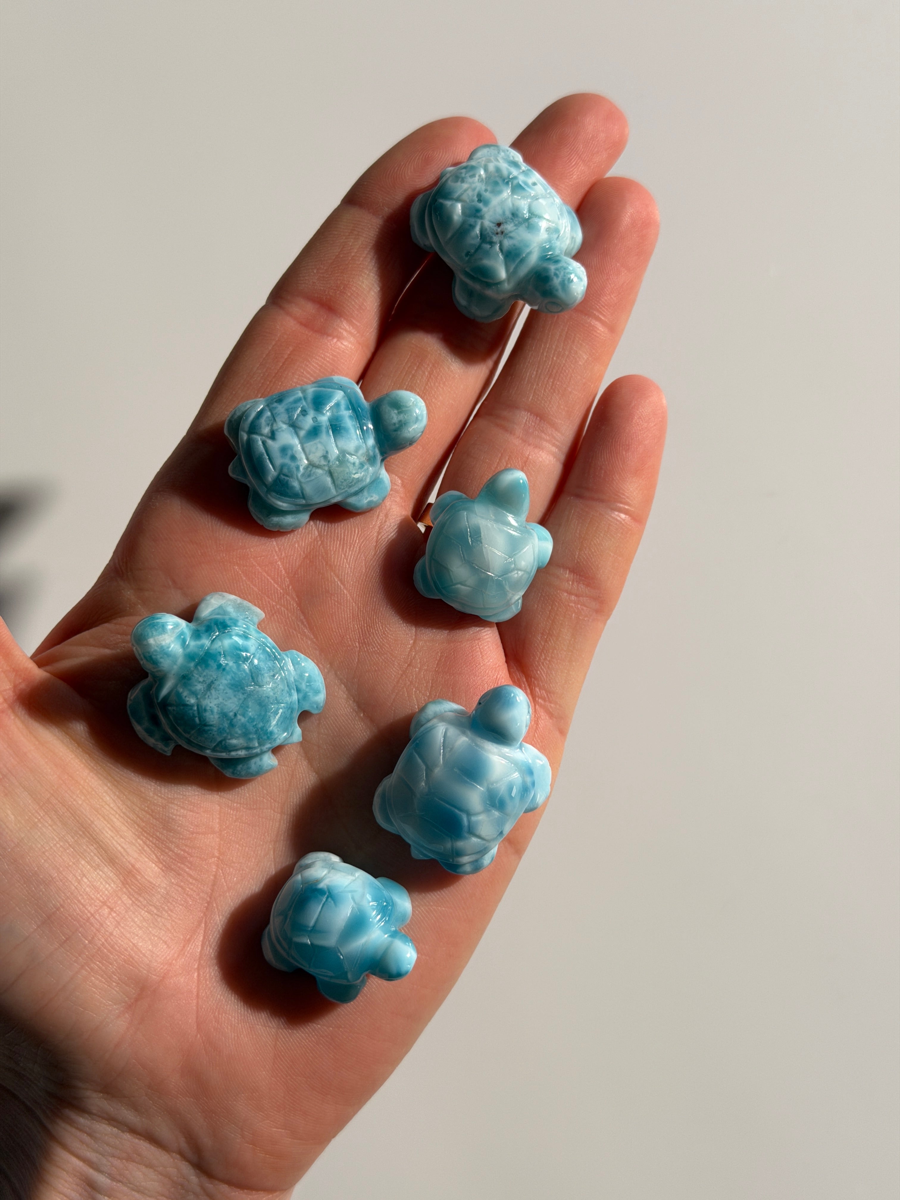 Larimar Schildkröte | High Quality