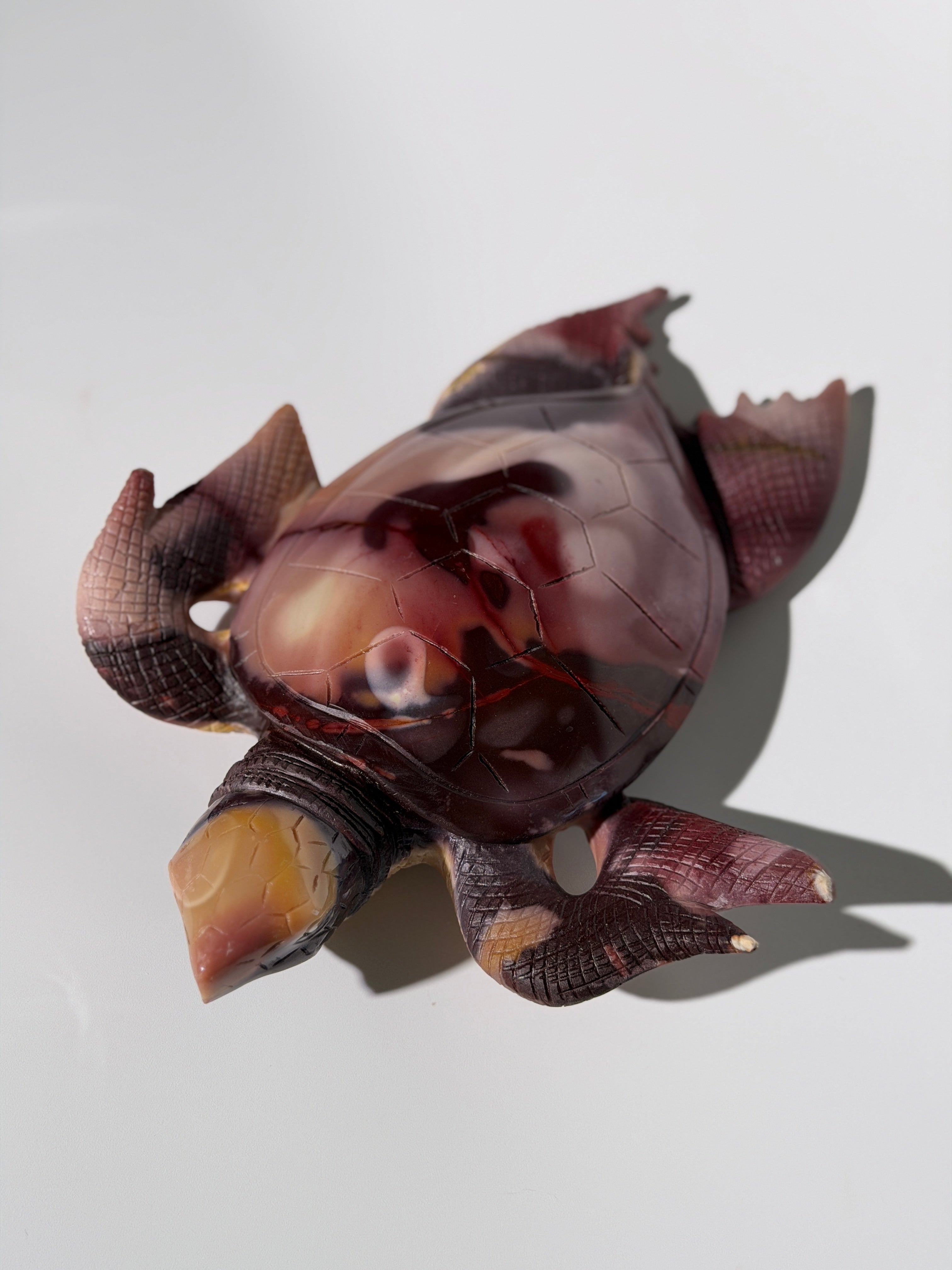 Mookait Schildkröte 🐢