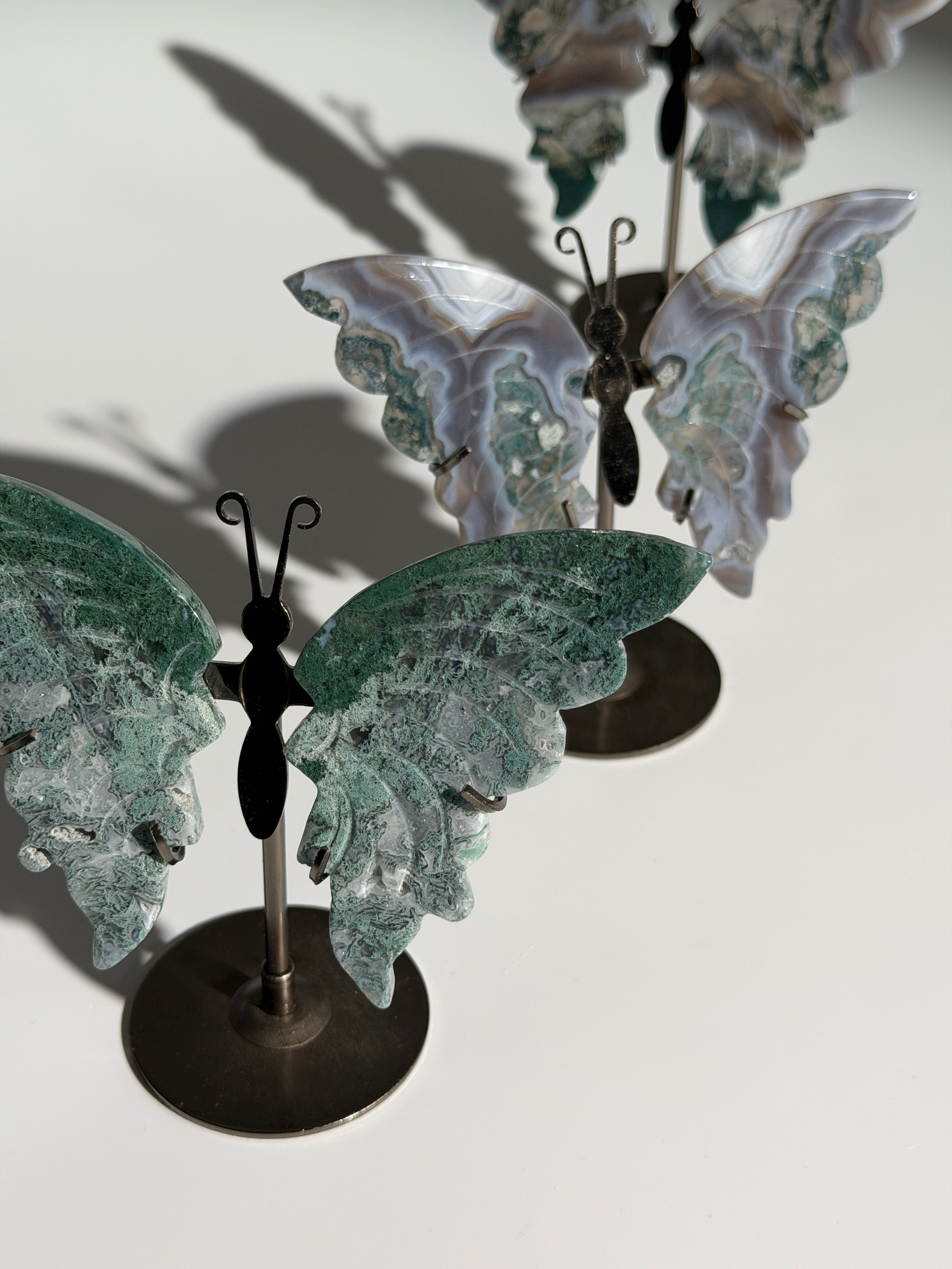 Moosachat Schmetterling SALE