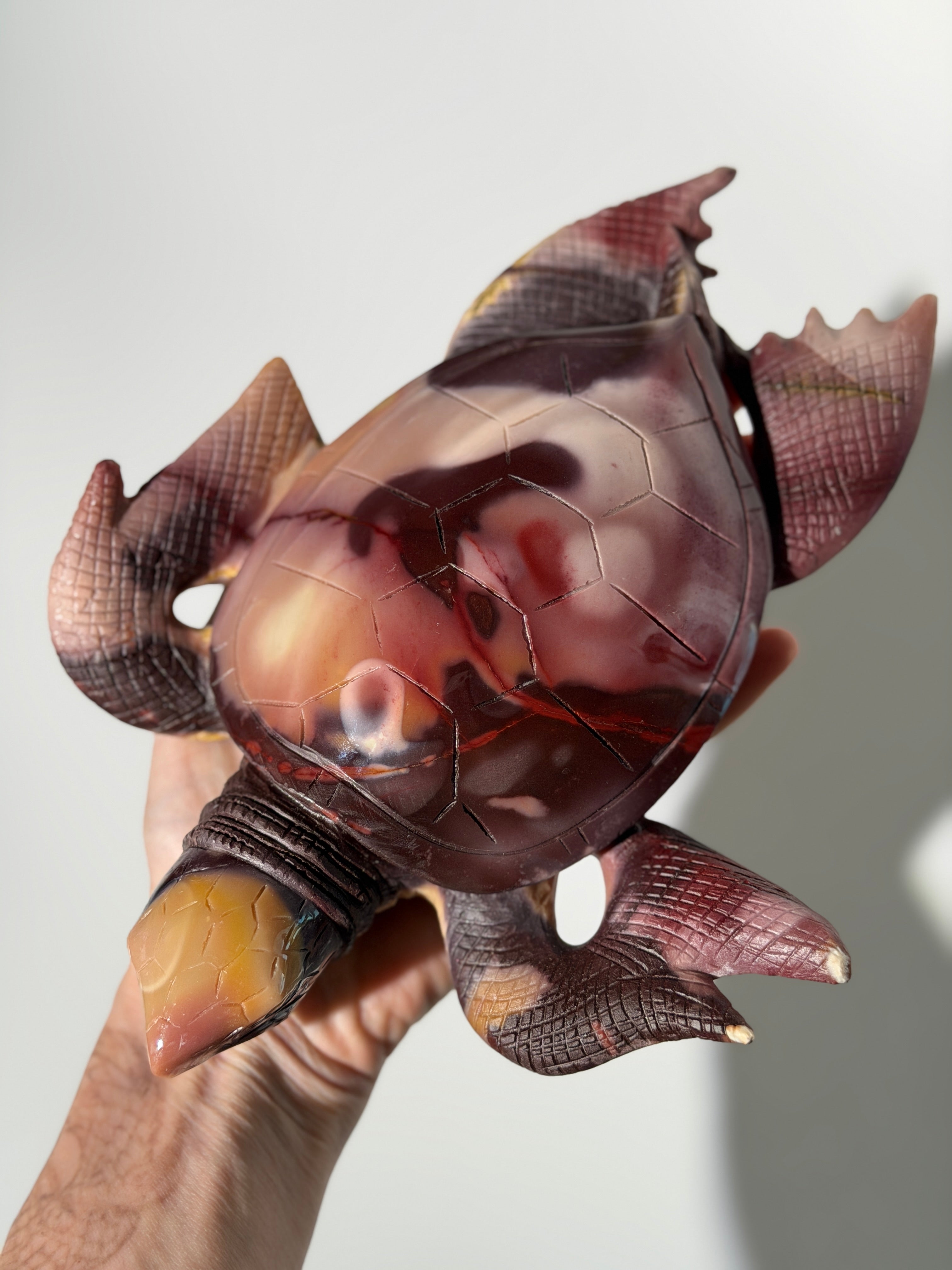 Mookait Schildkröte 🐢