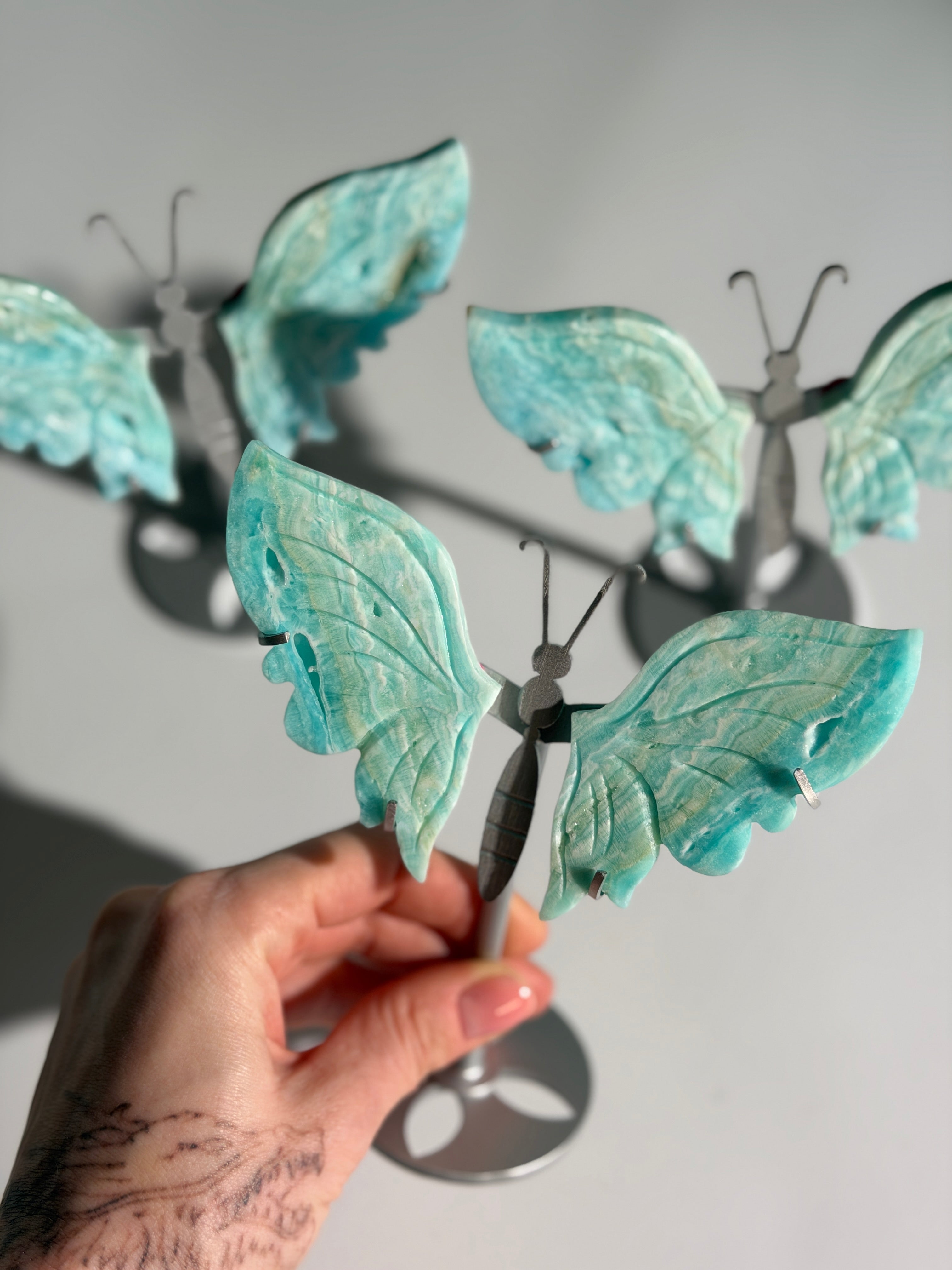 Karibischer Calcit Schmetterling