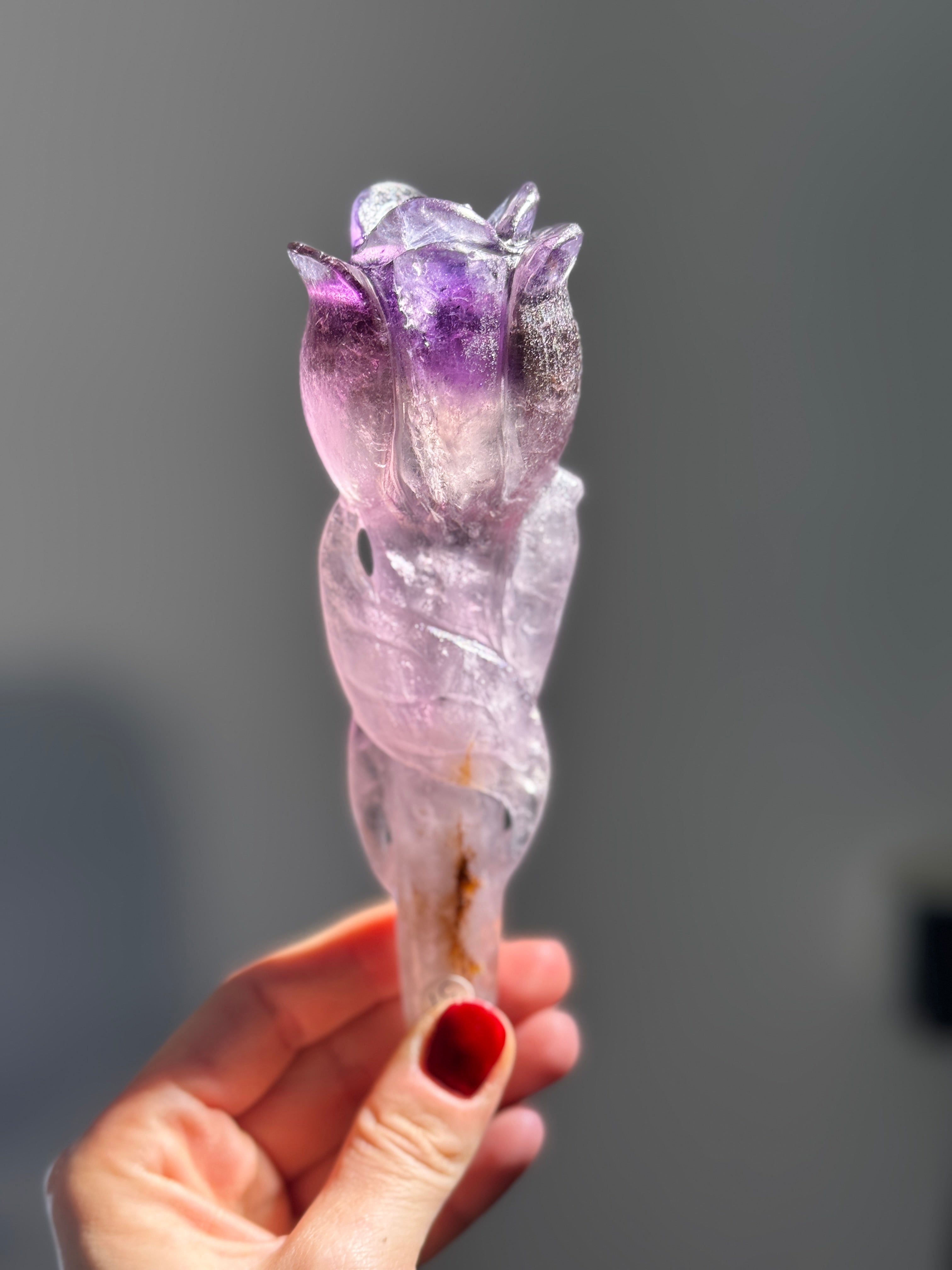 Amethyst Rose