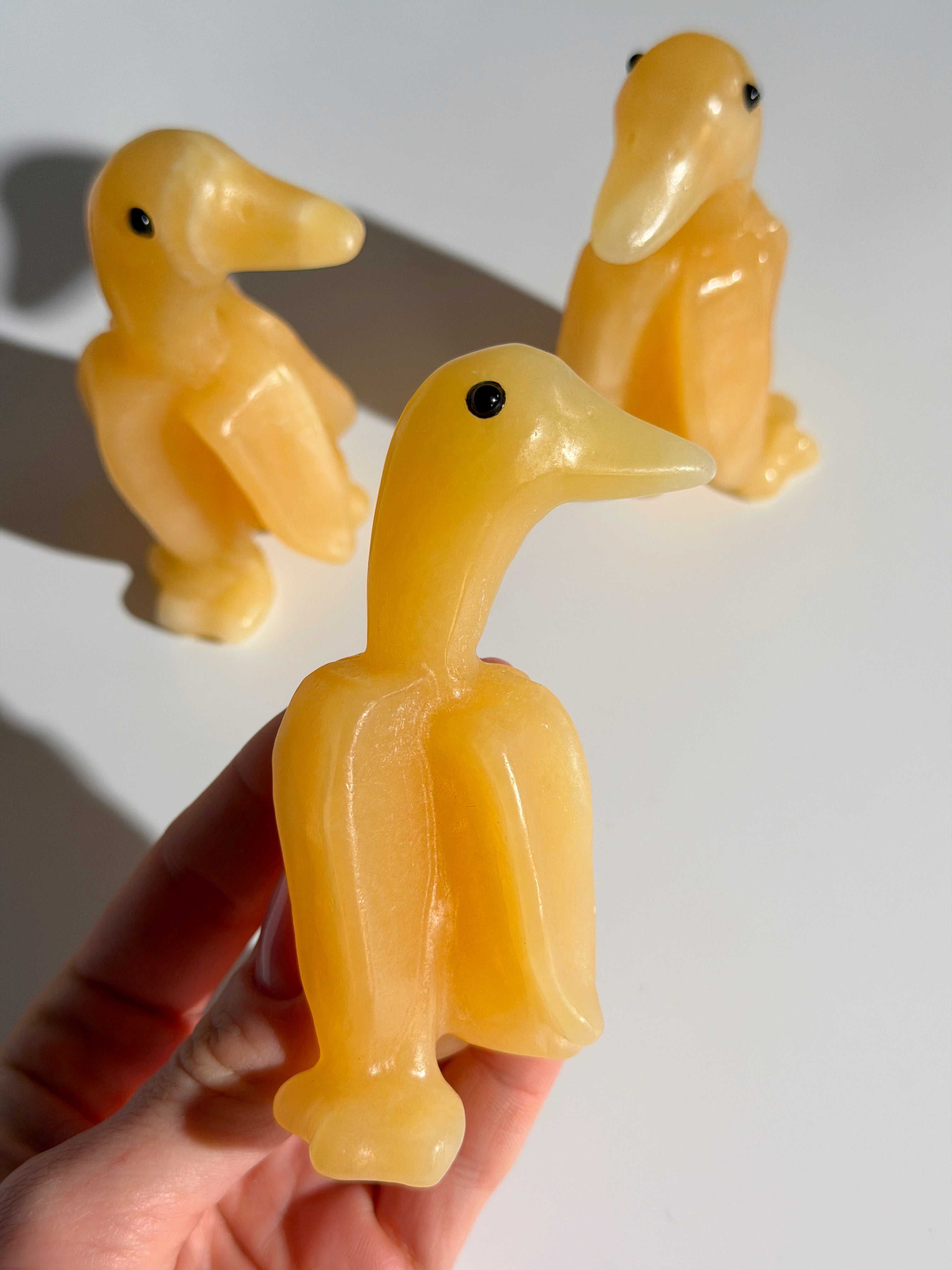 Bananabird 🍌