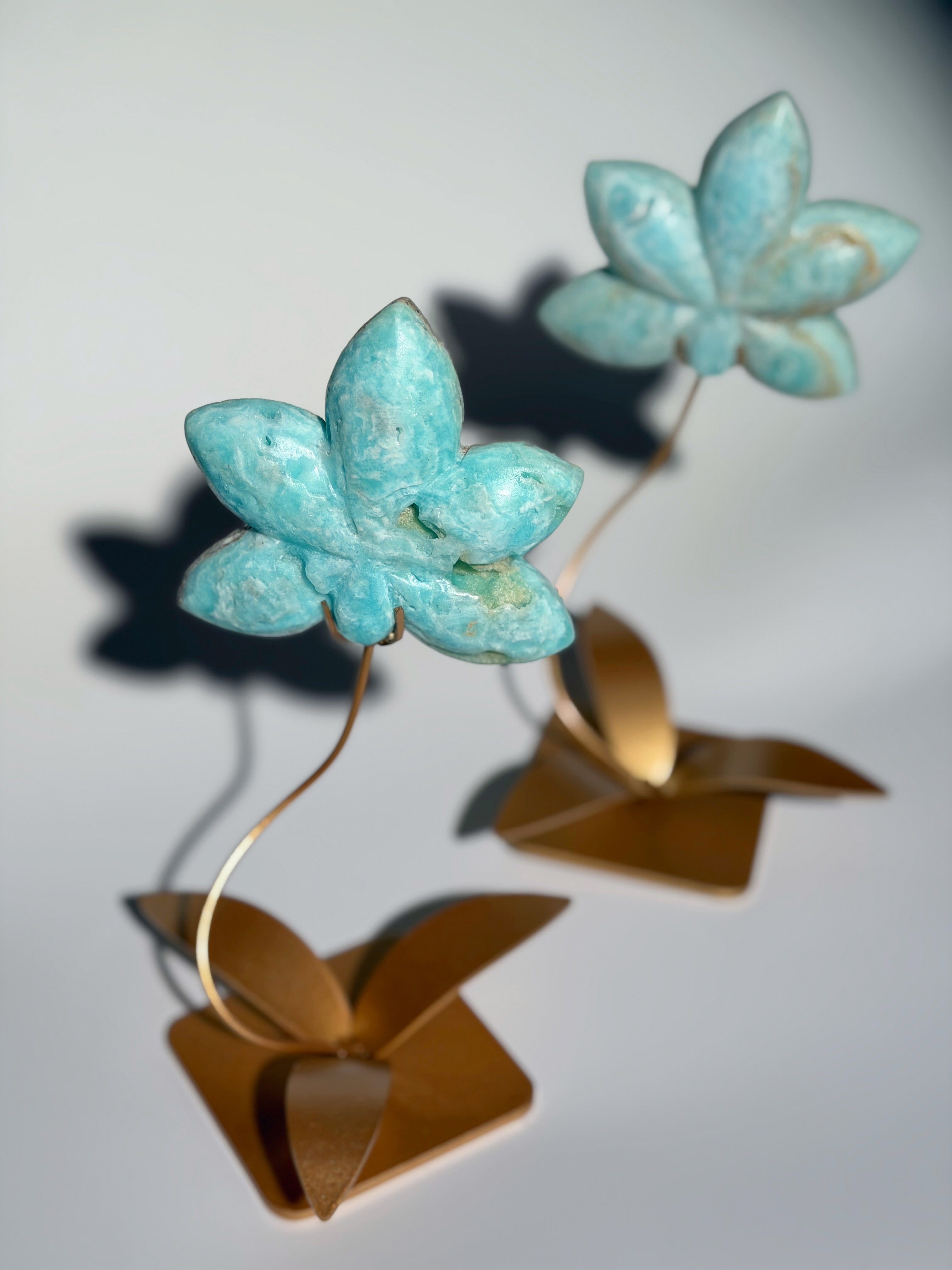 Karibik Calcit Lotusblüte auf goldener Halterung