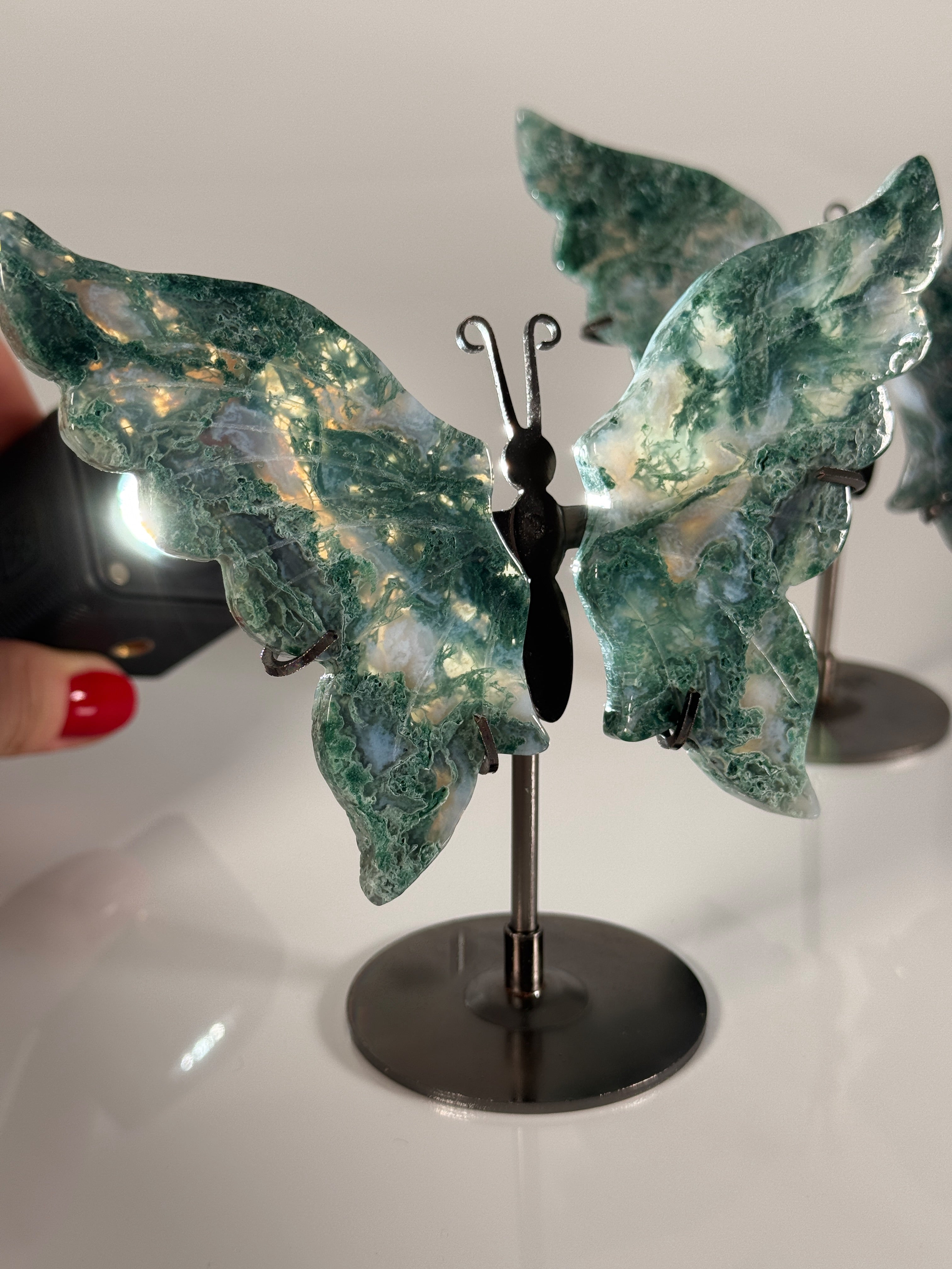 Moosachat Schmetterling SALE