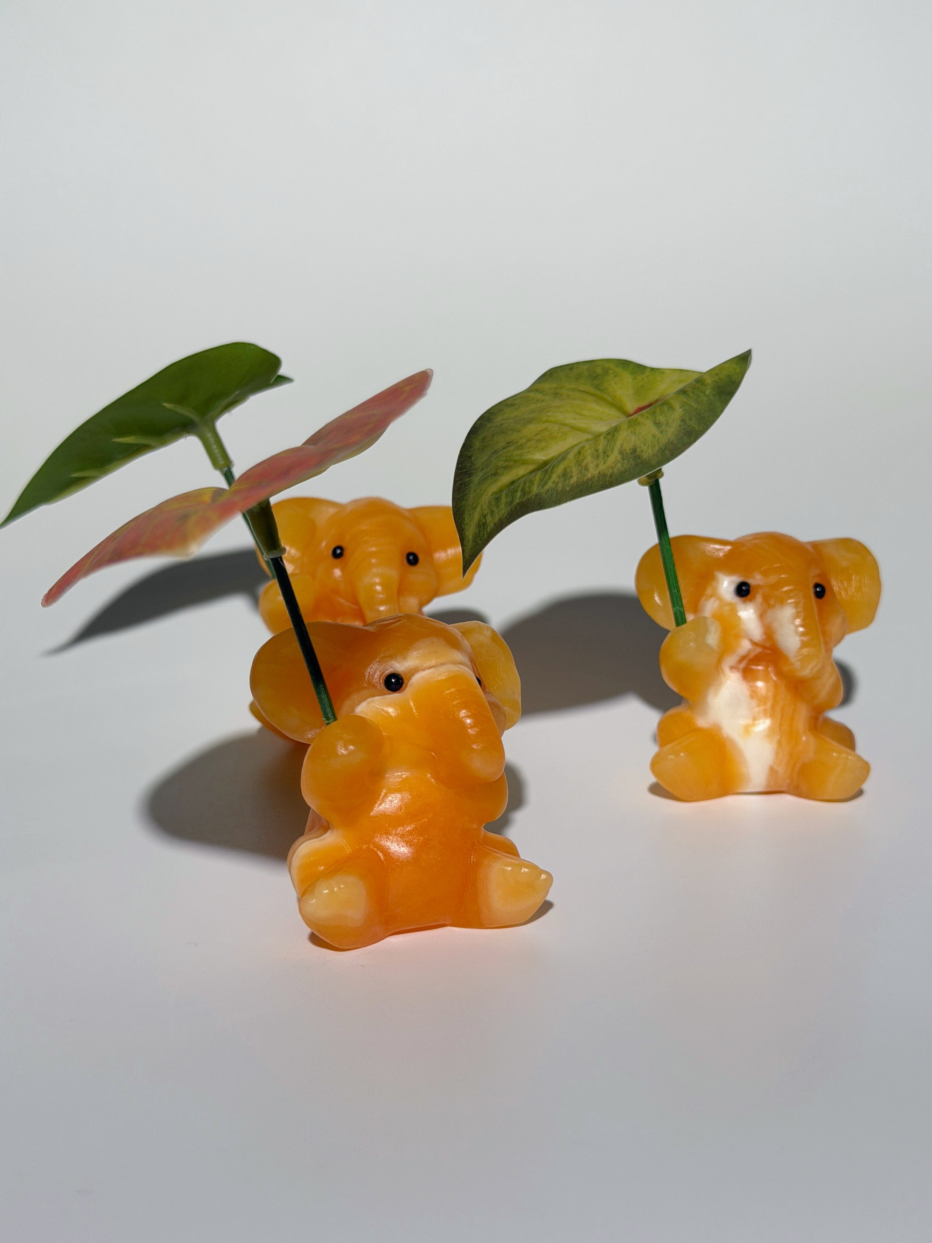 Orangen Calcit Elefant 🍊