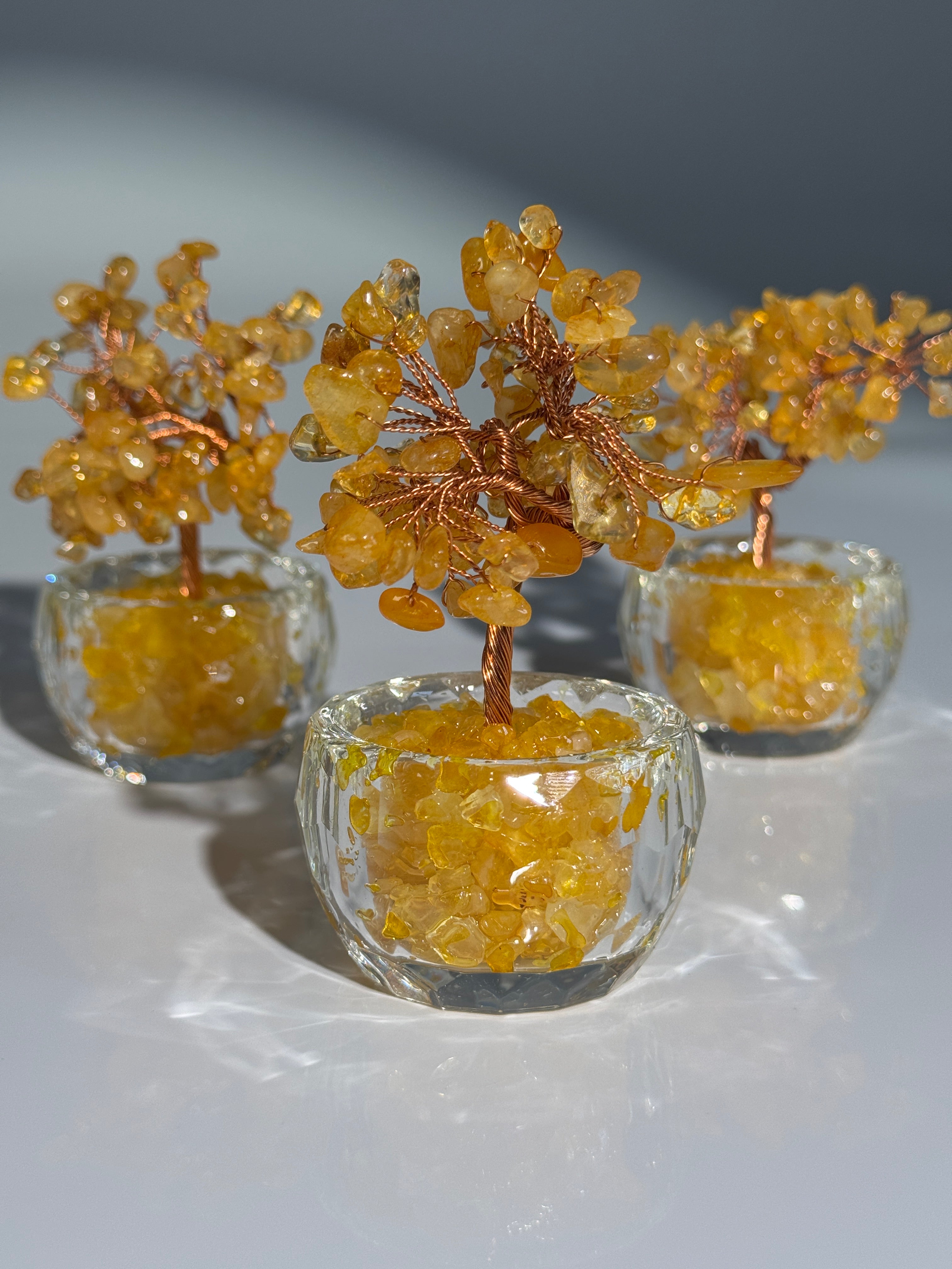 Citrin Baum