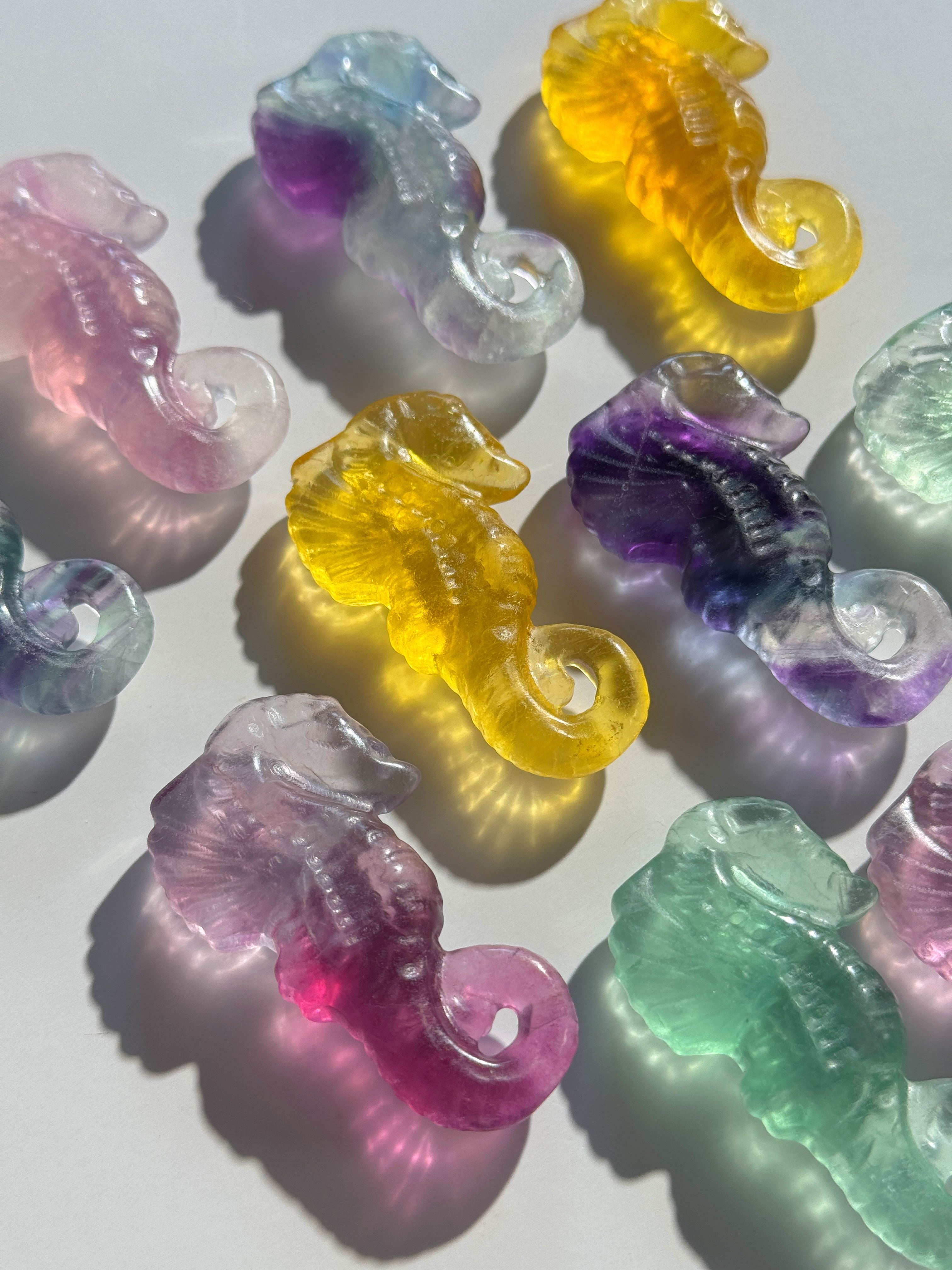 Fluorit Seepferdchen