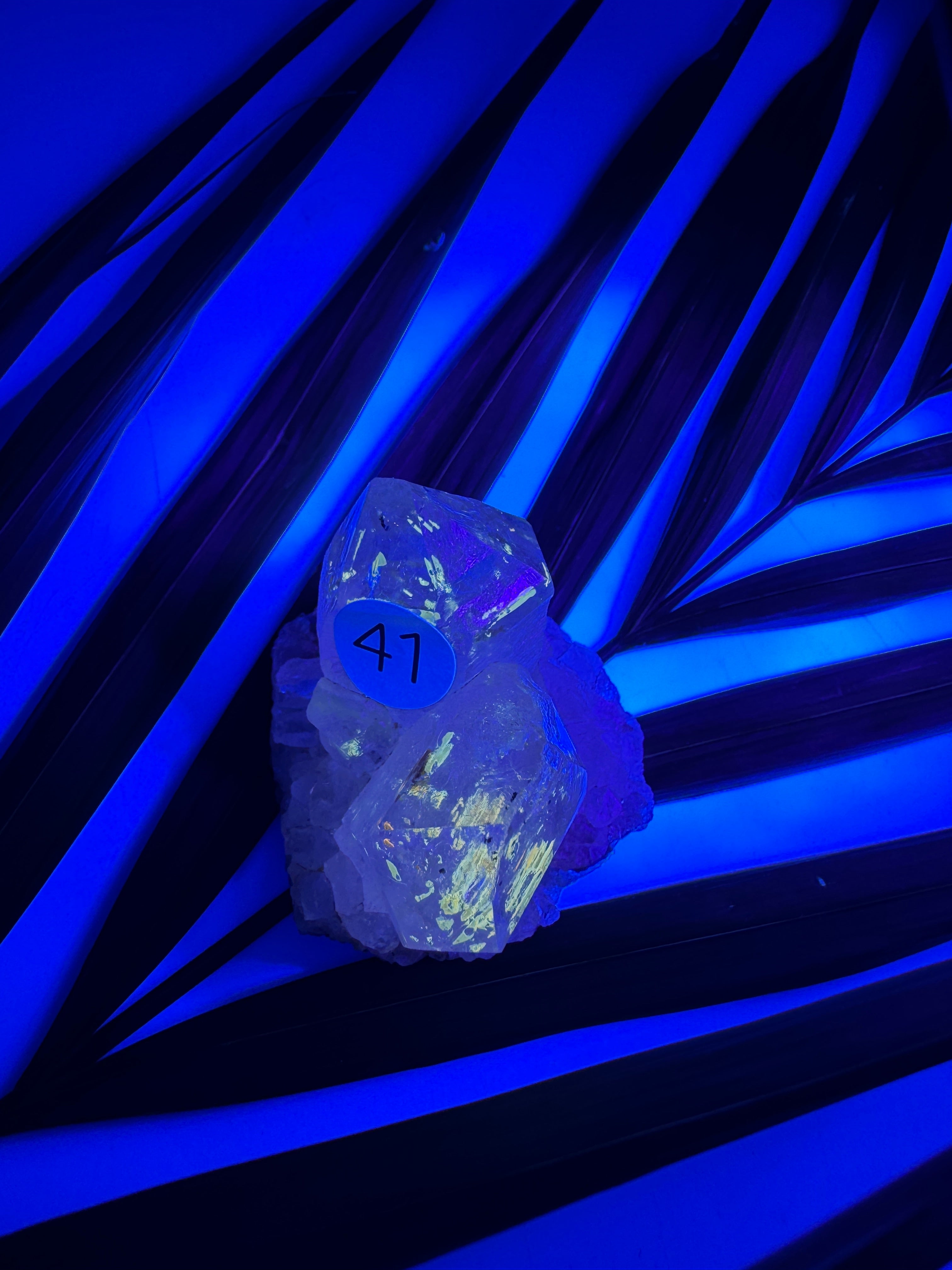 Petroleum Quarz (Super-UV)