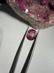 Pink Turmalin | 1,75ct