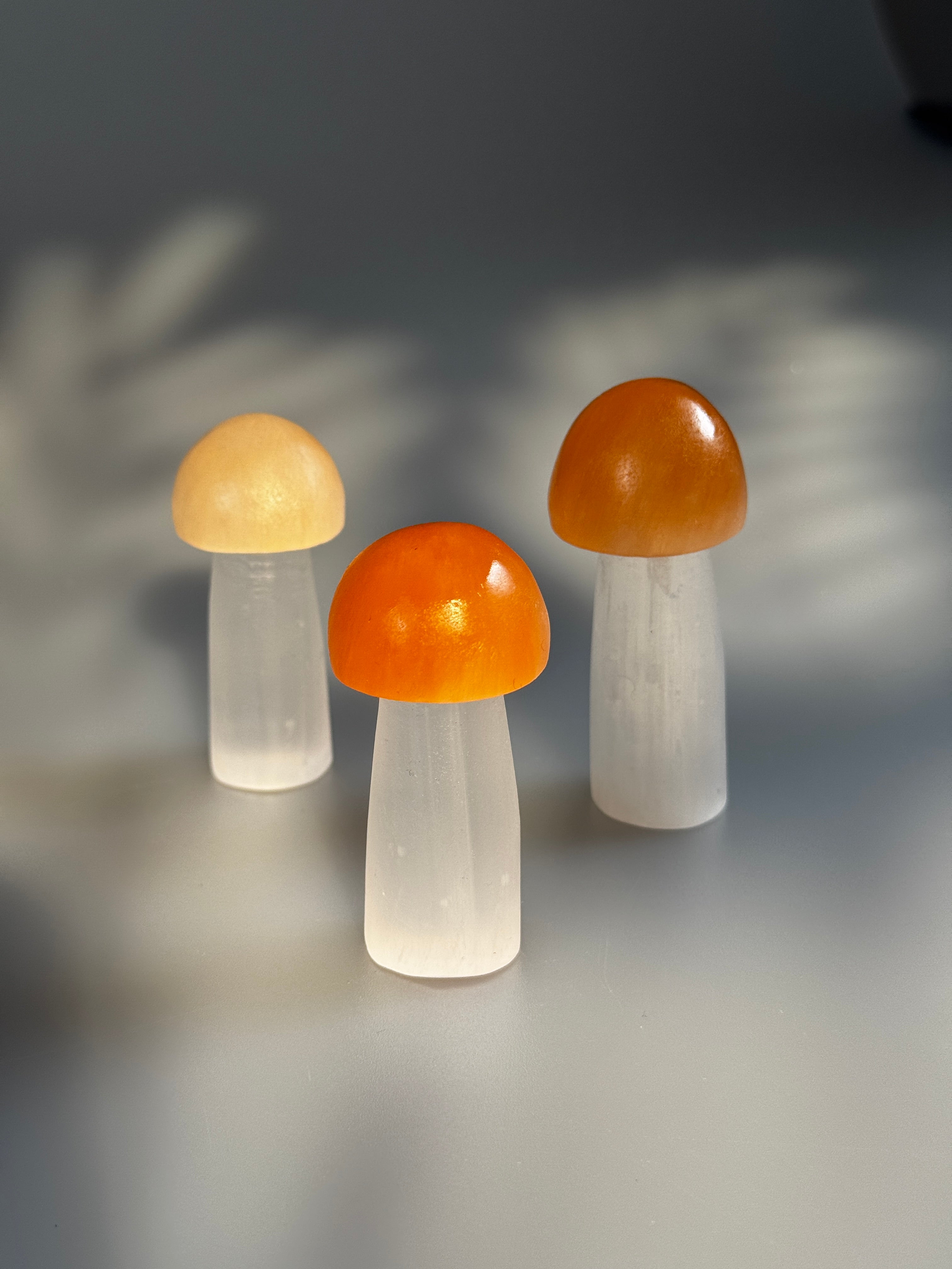 Selenit Pilz 🍄‍🟫