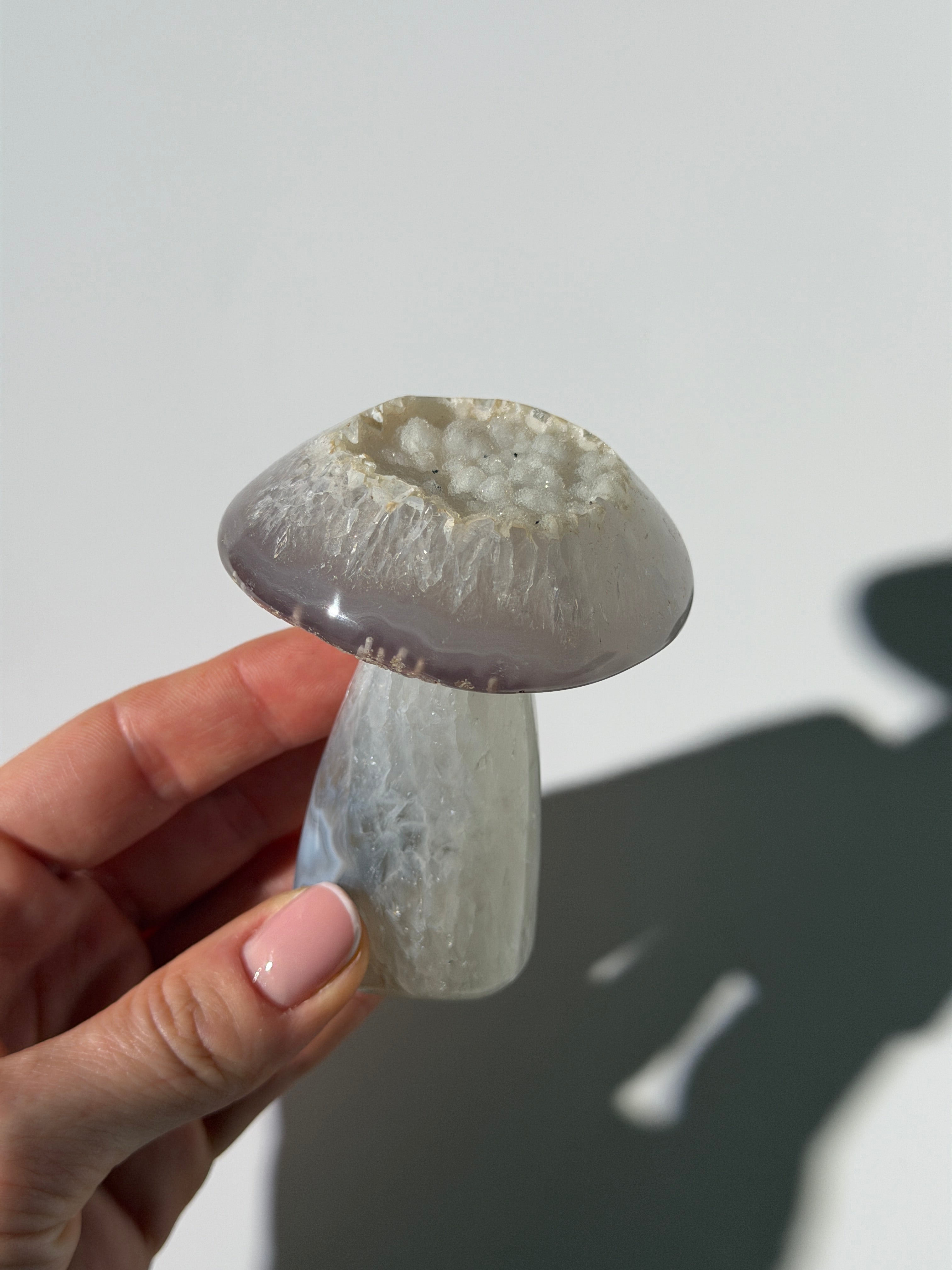 Druzy Achat Pilz