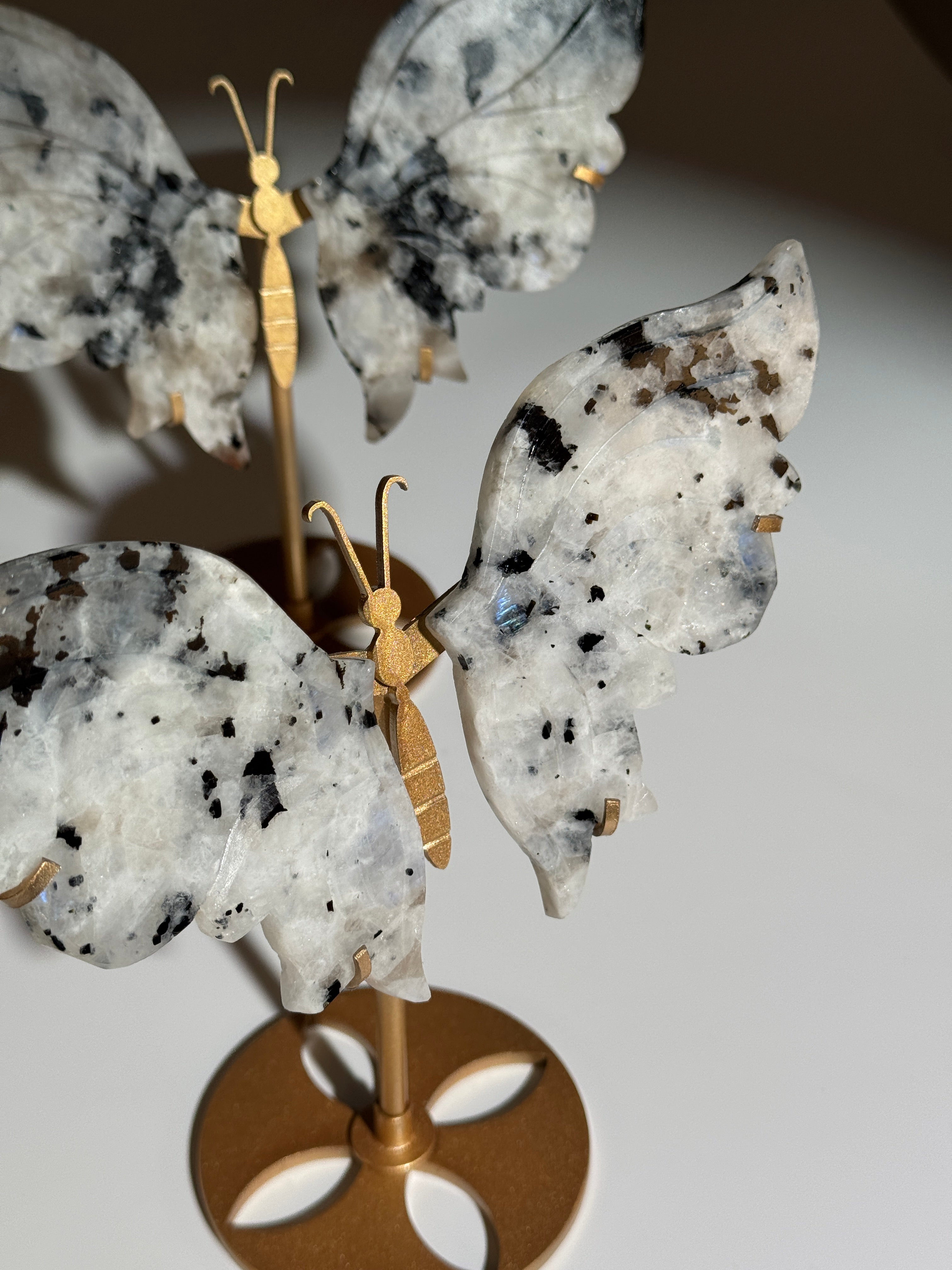 Weißer Labradorit Schmetterling