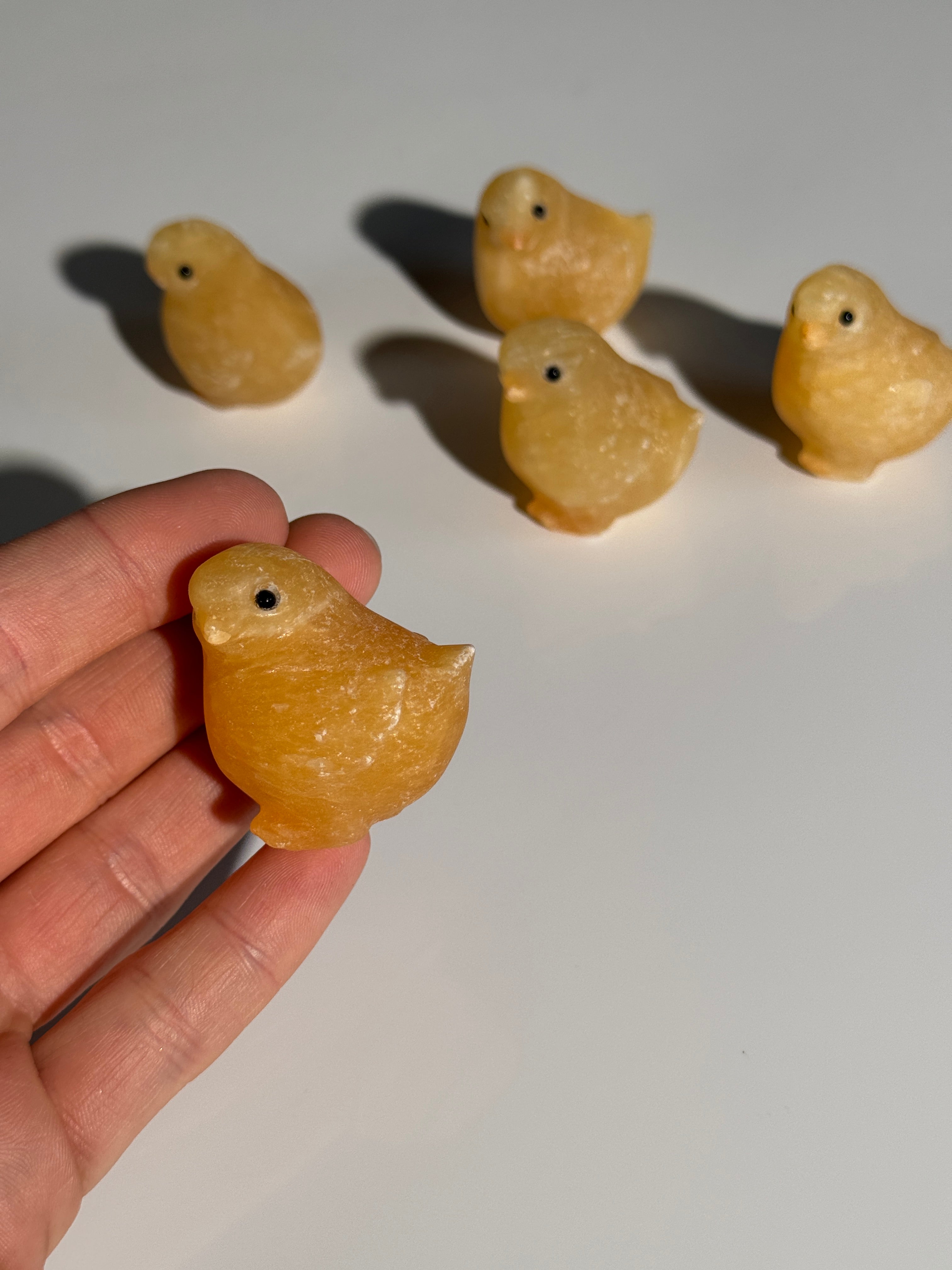 Orangencalcit Küken