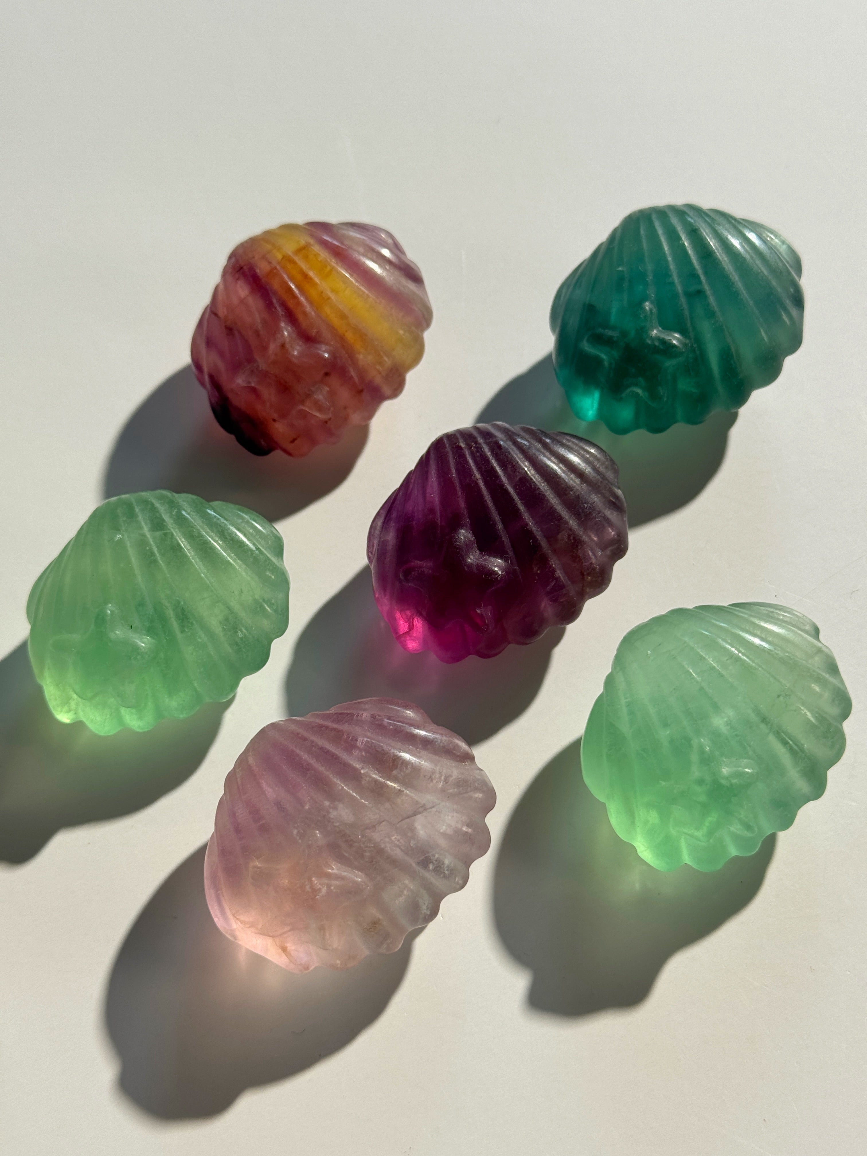 Fluorit Muschel mit Seestern