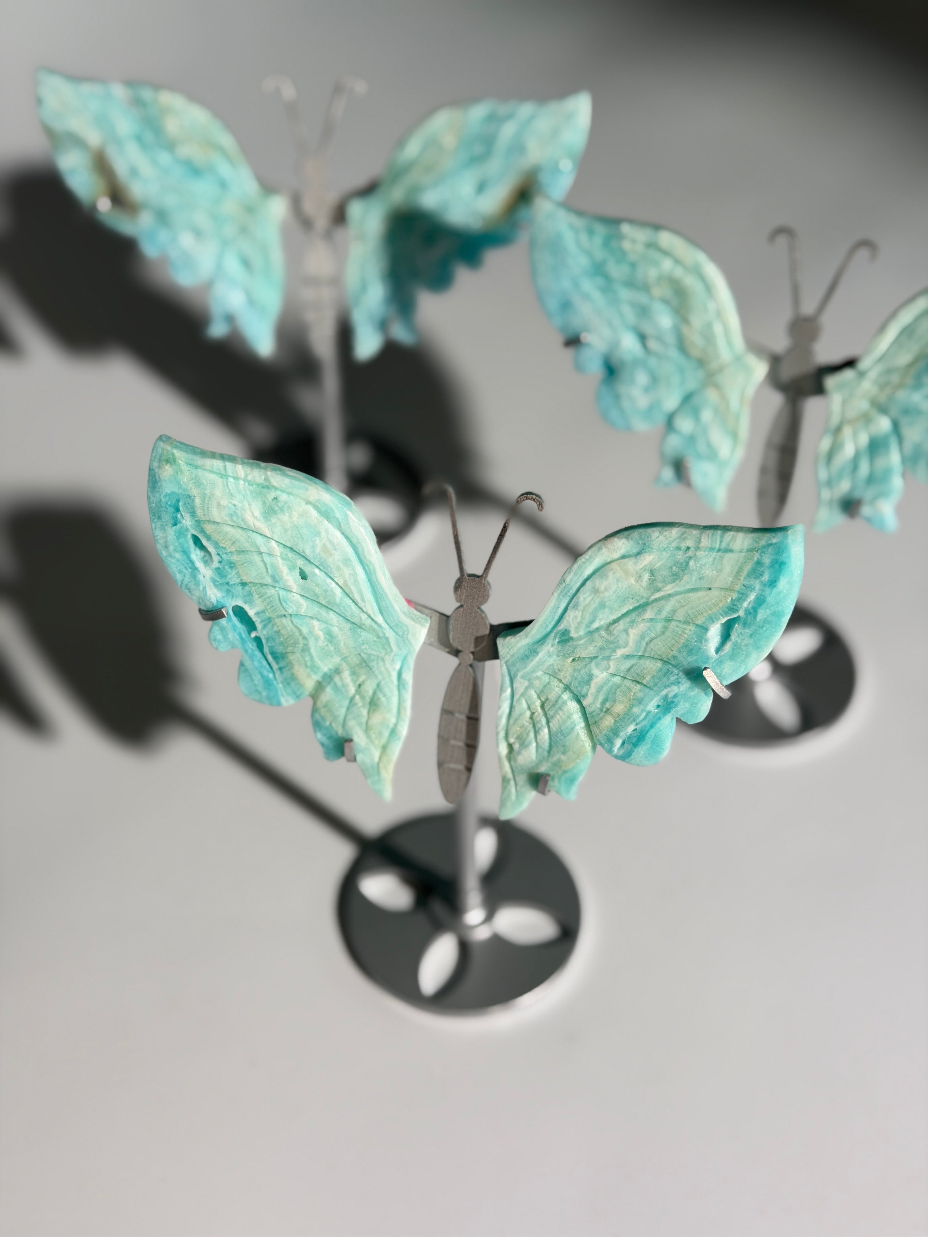 Karibischer Calcit Schmetterling