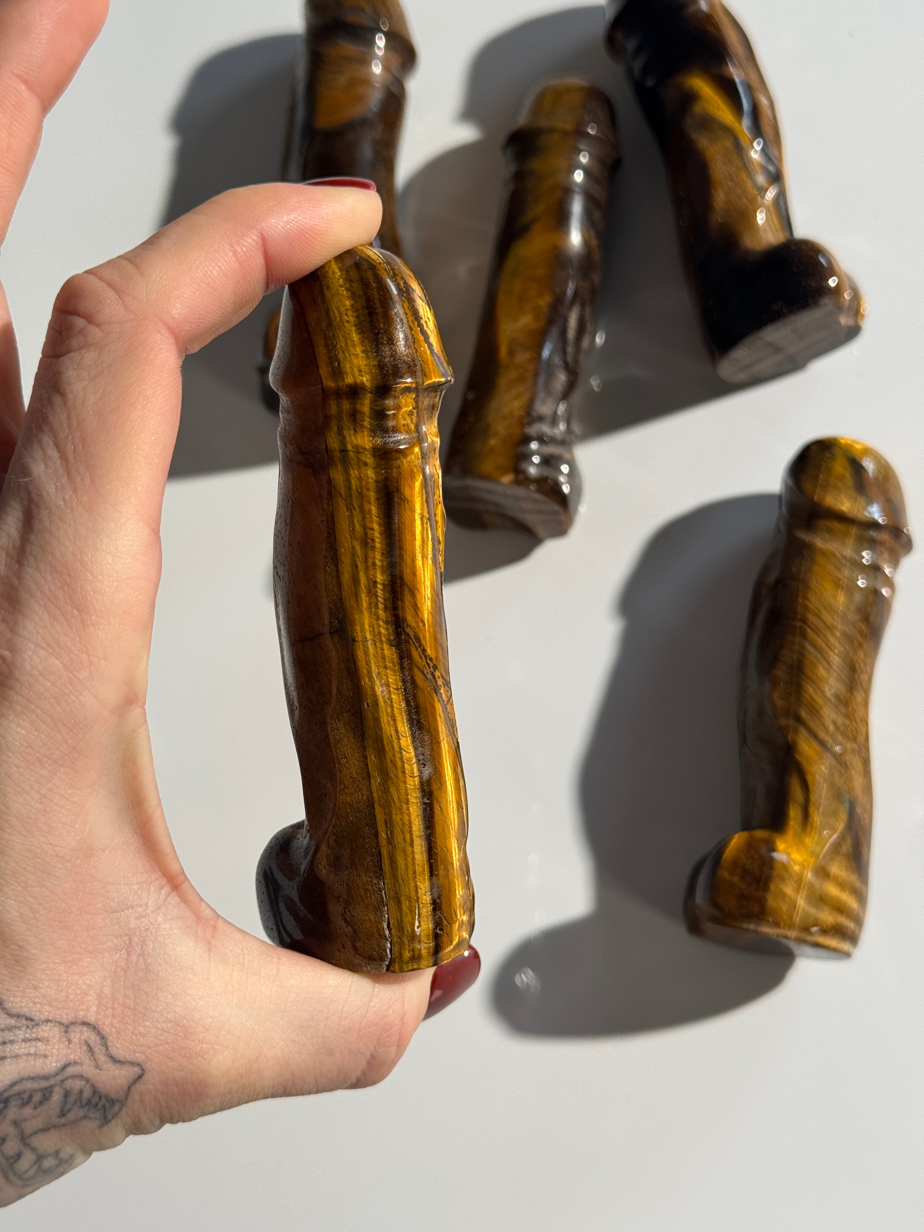 Tigerauge Phallus