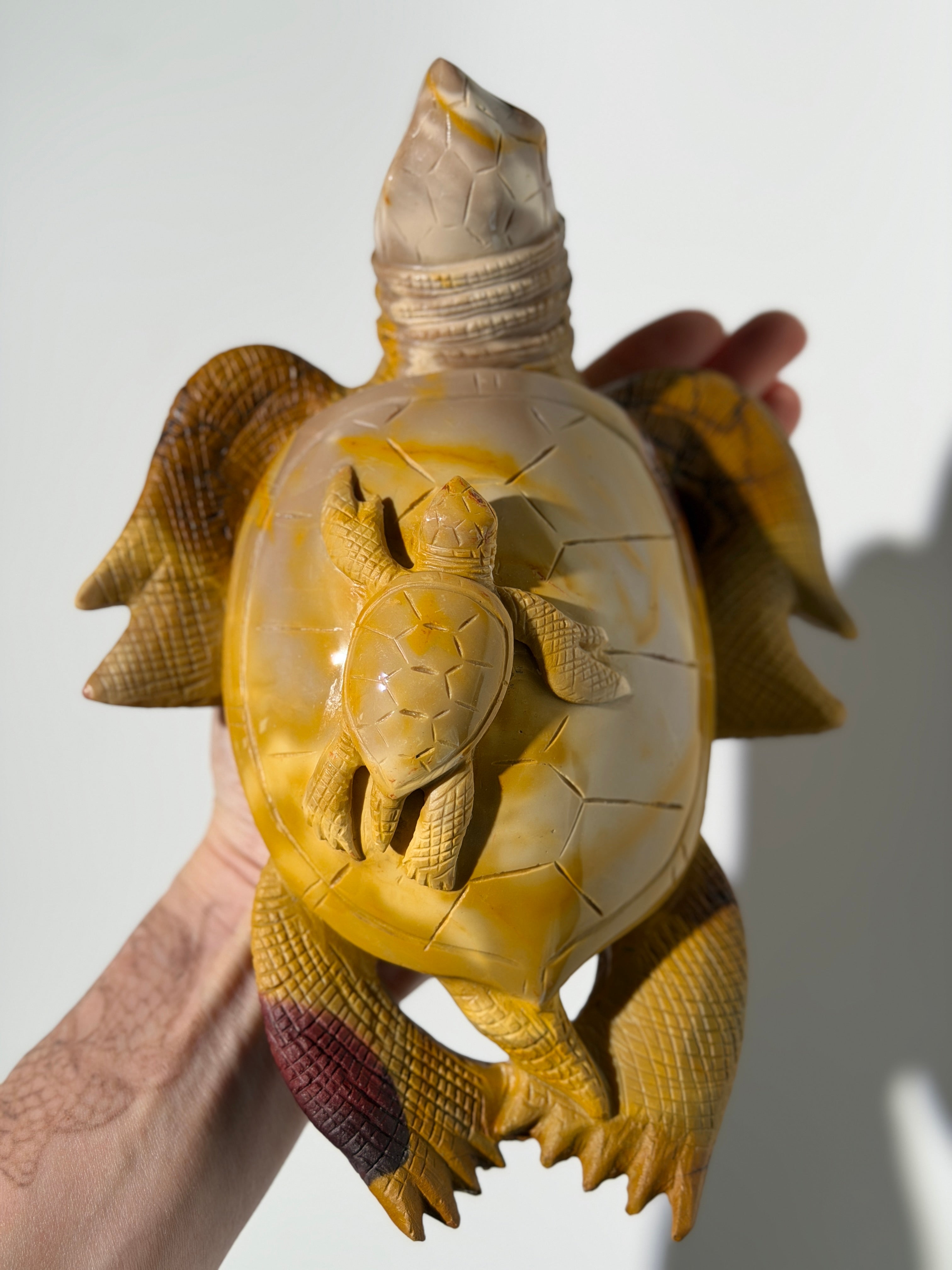 Mookait Schildkröte 🐢