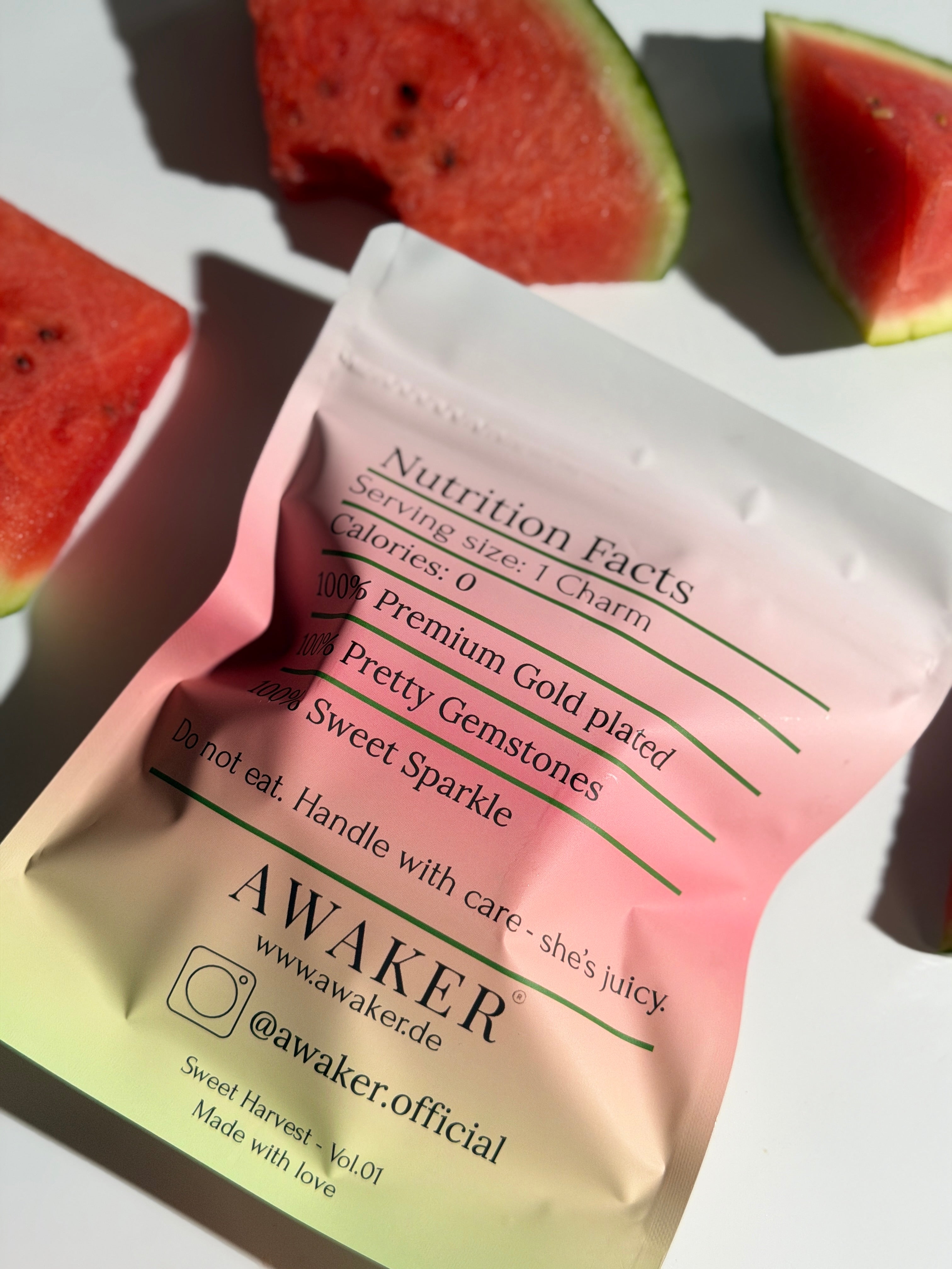 Watermelon Charm 🍉
