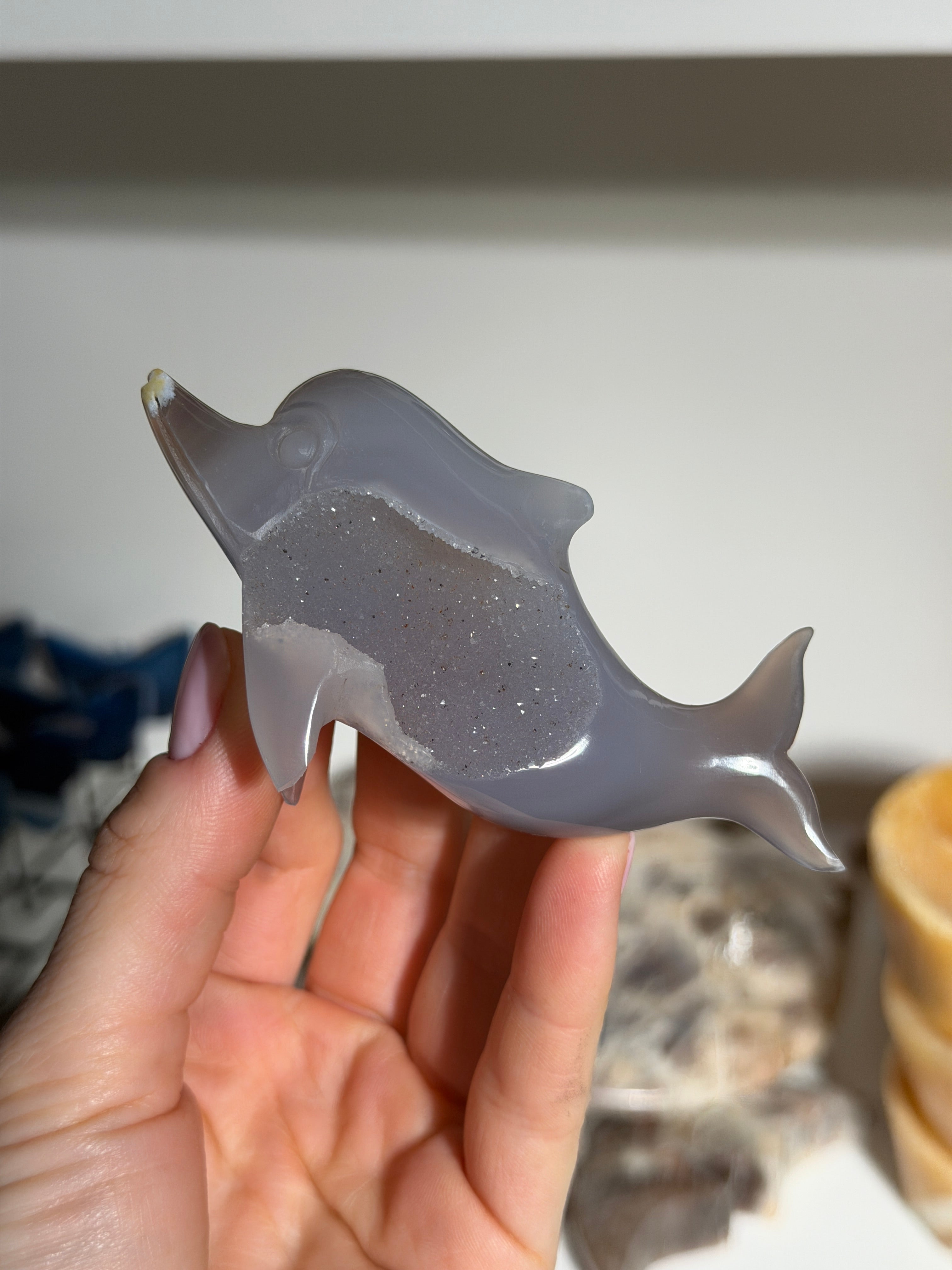 Druzy Achat Delfin | SALE