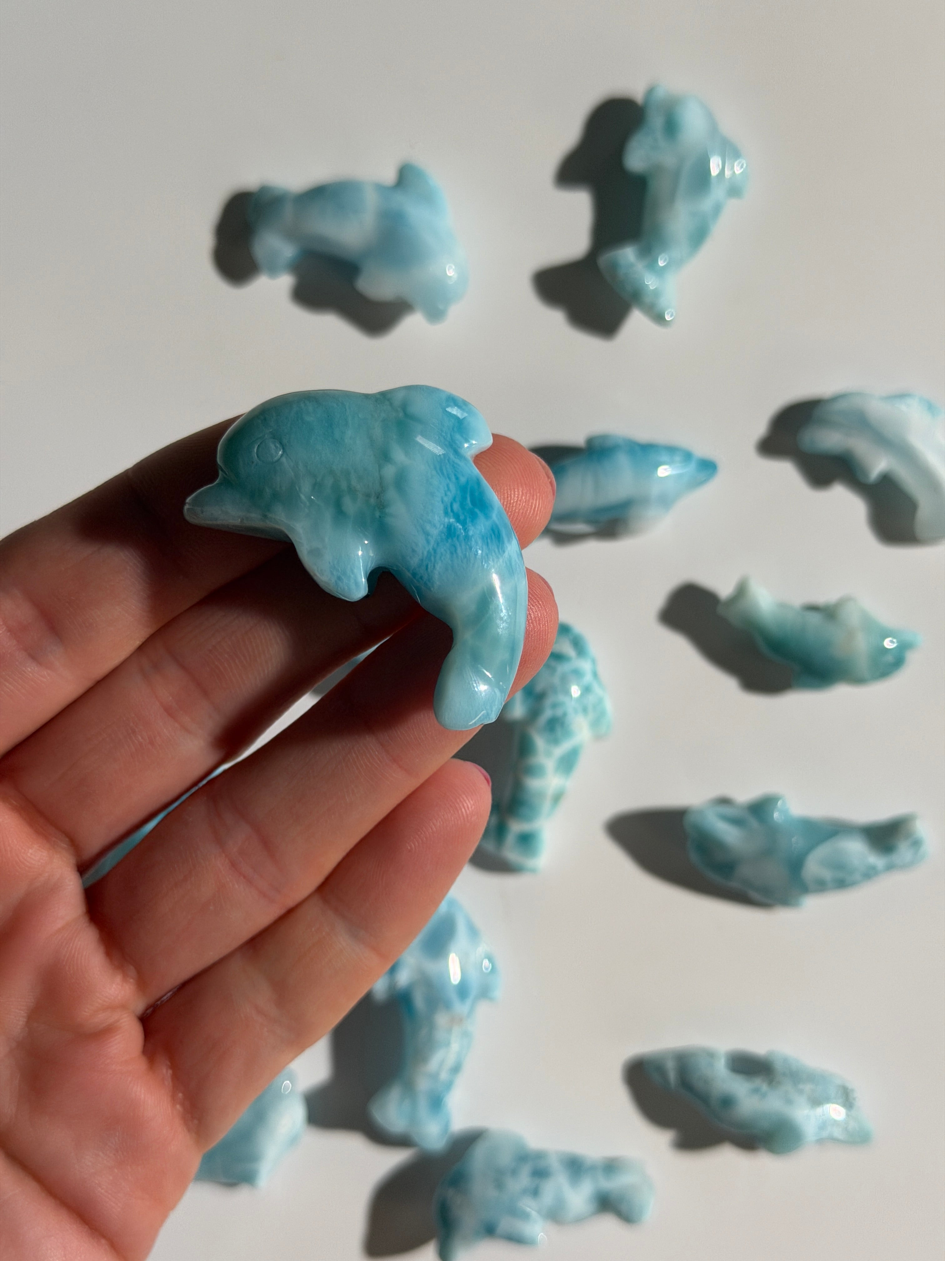 Larimar Delfin | High Quality
