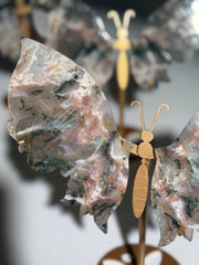 Pink Moosachat Schmetterling | Rare