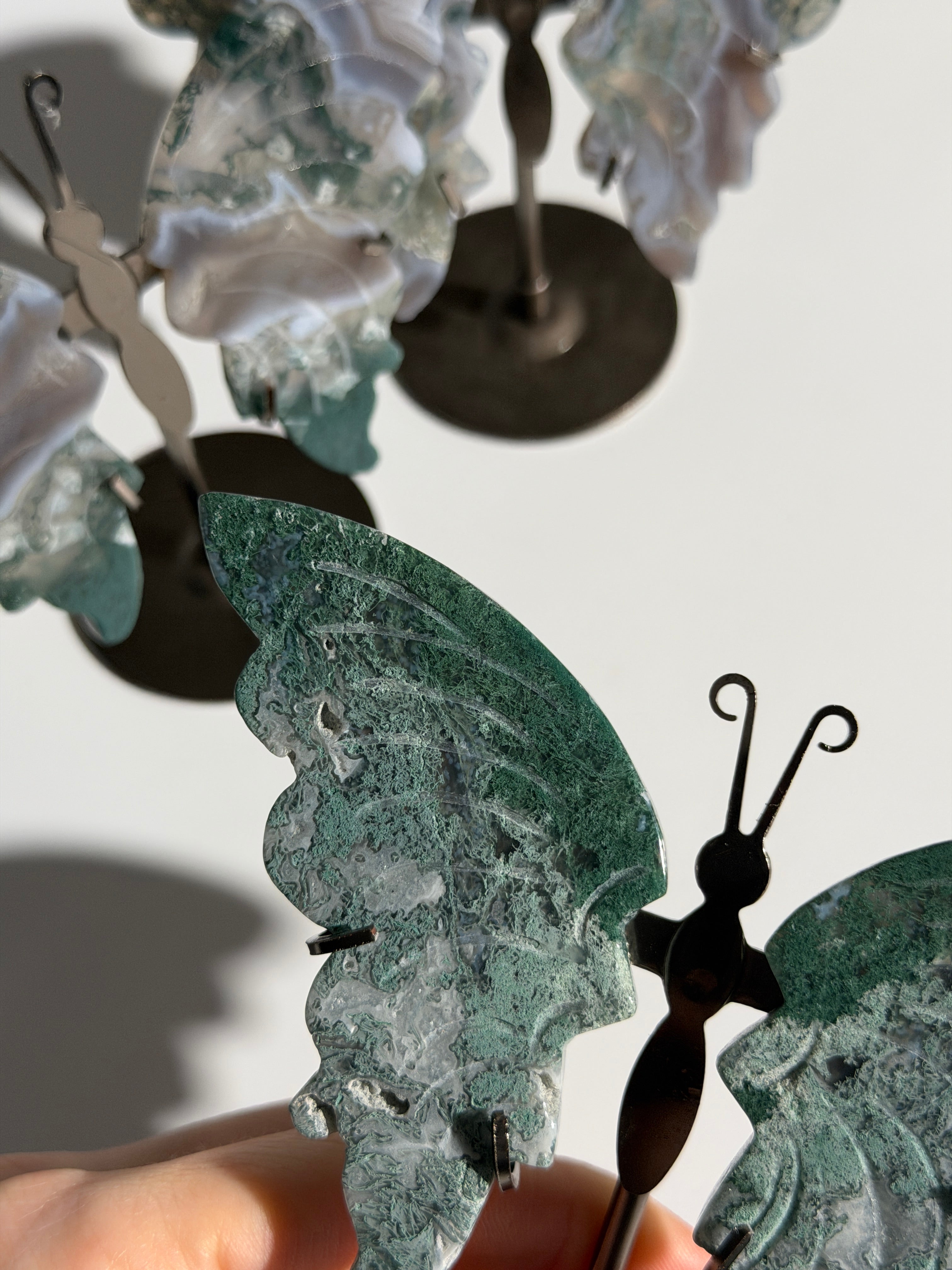 Moosachat Schmetterling SALE