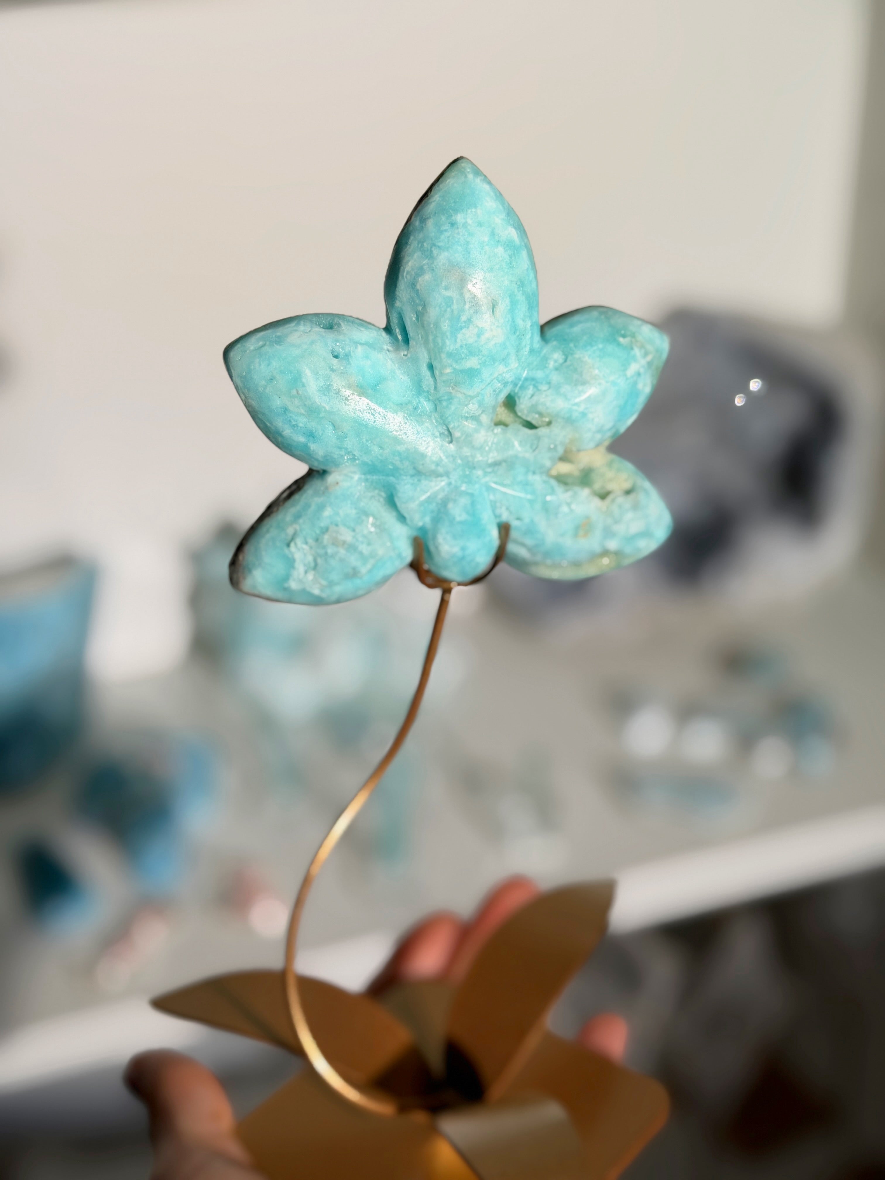Karibik Calcit Lotusblüte auf goldener Halterung