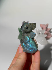 Baby Drachen 🐉 Mystery