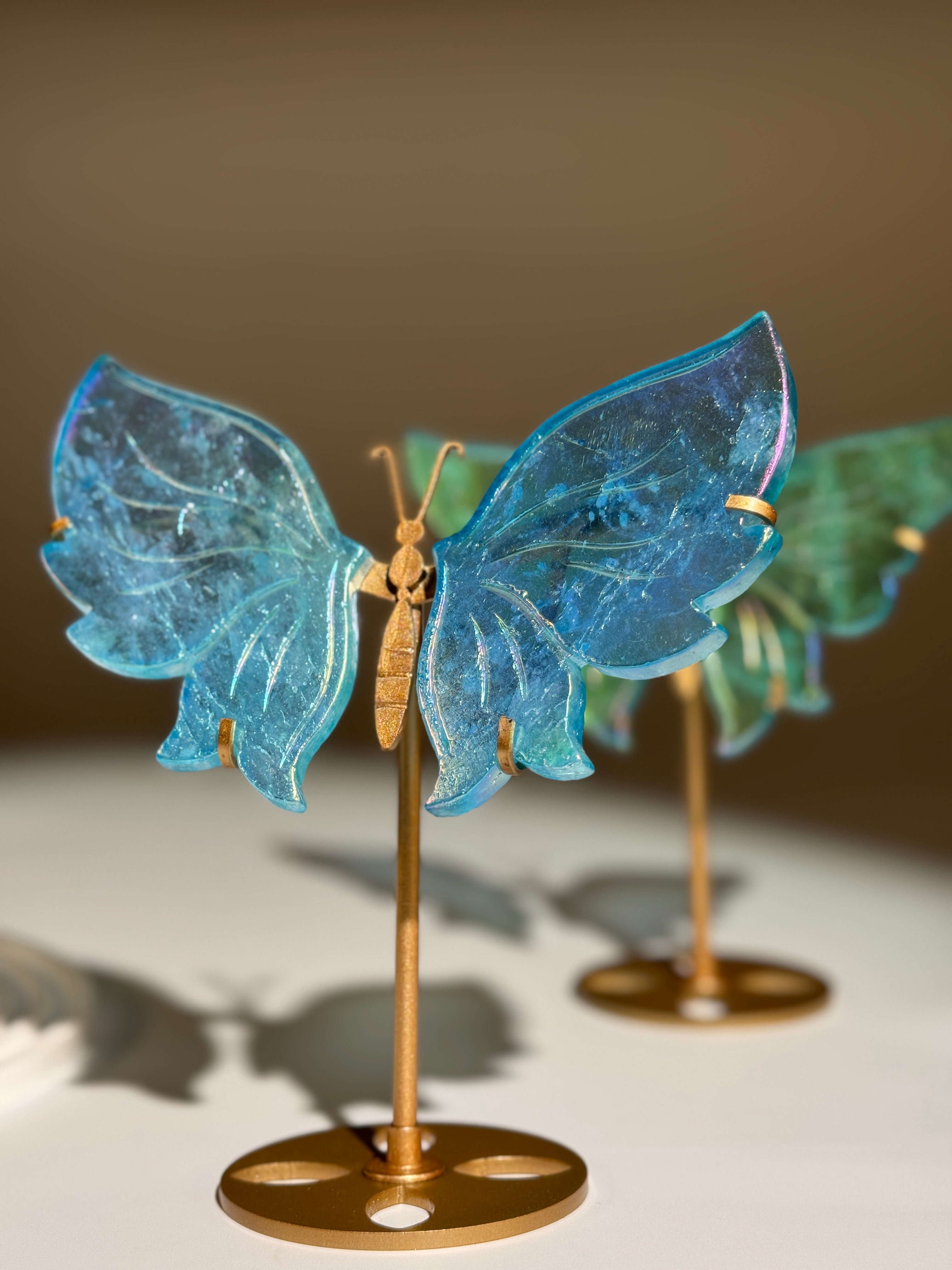 Aqua Aura Schmetterling