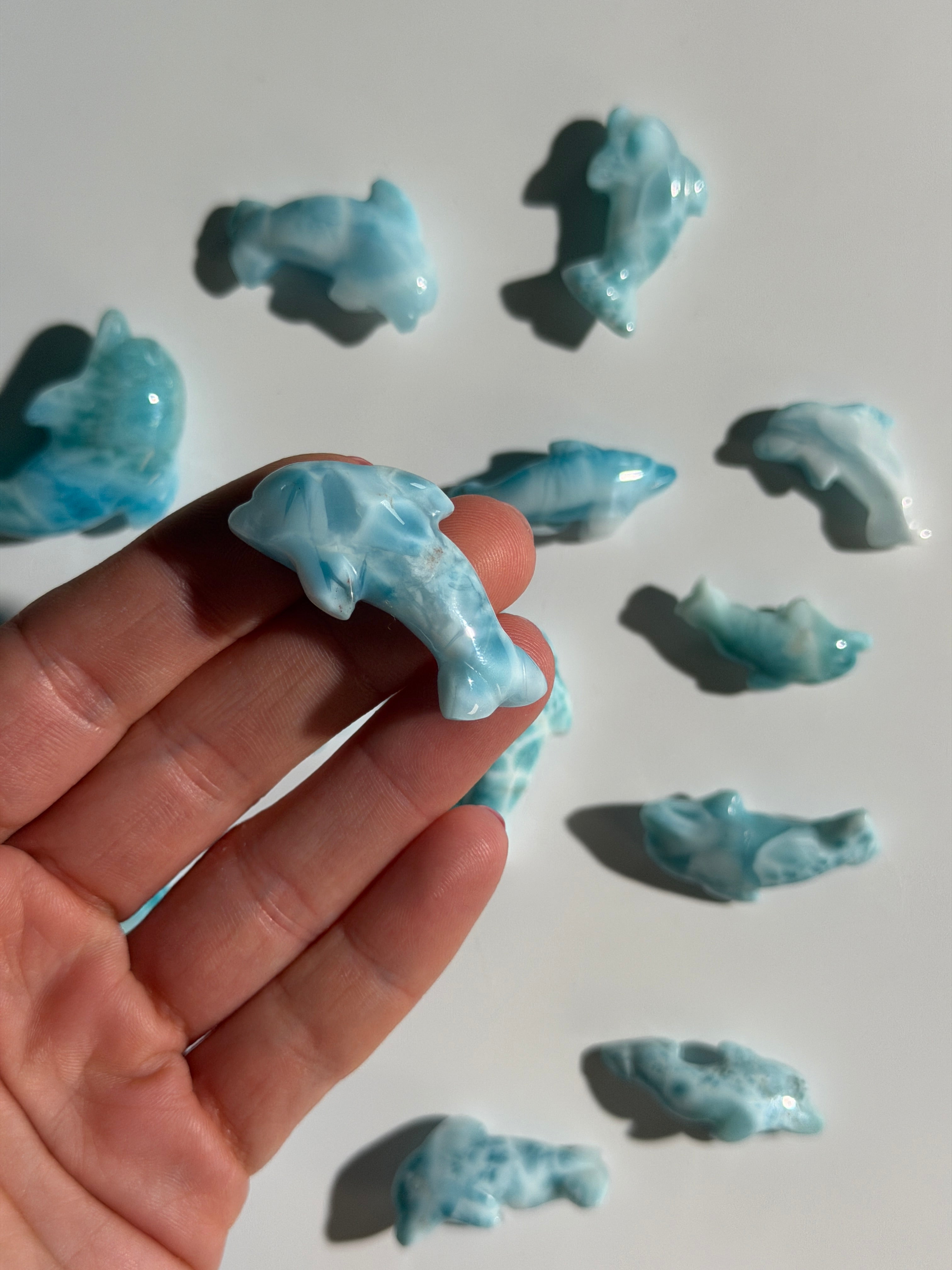 Larimar Delfin | High Quality