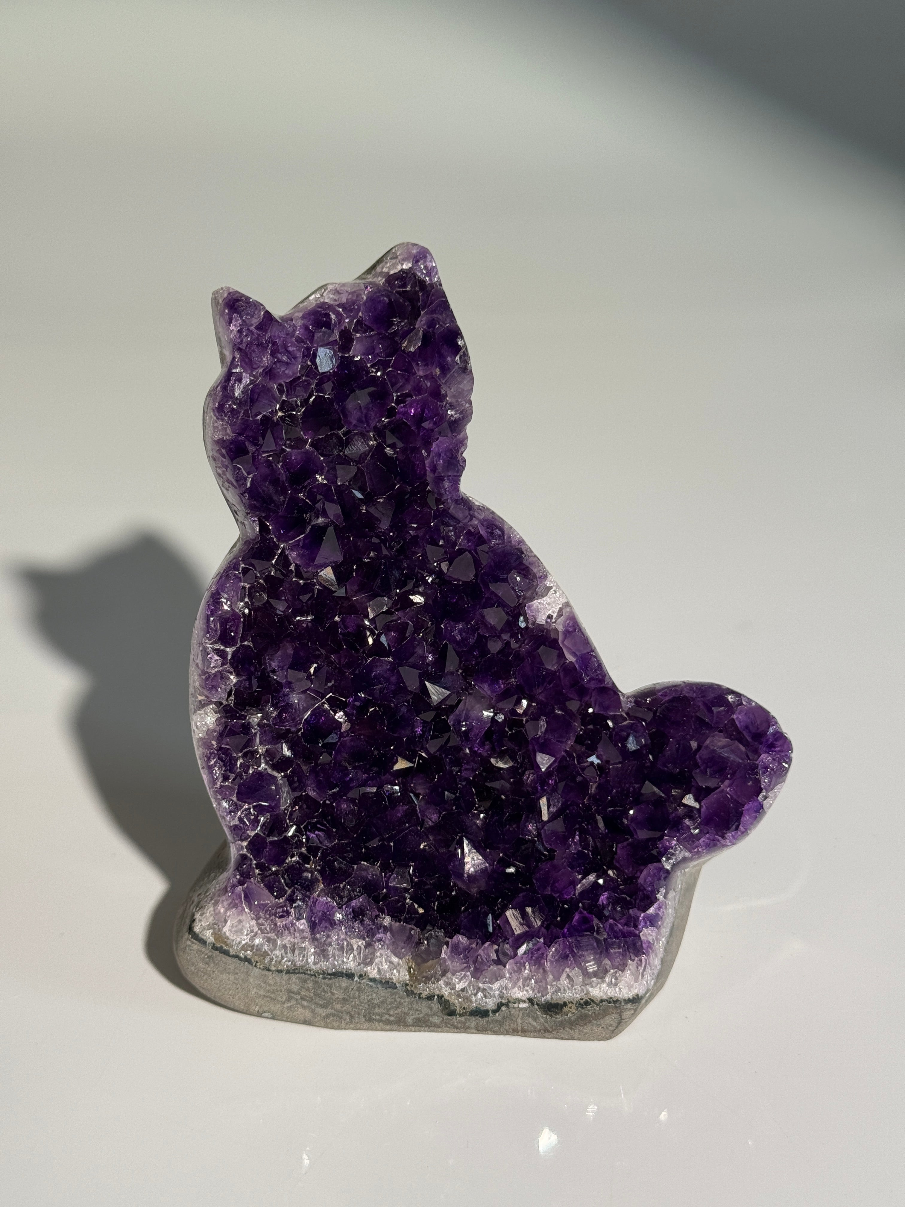 Amethyst Katze L