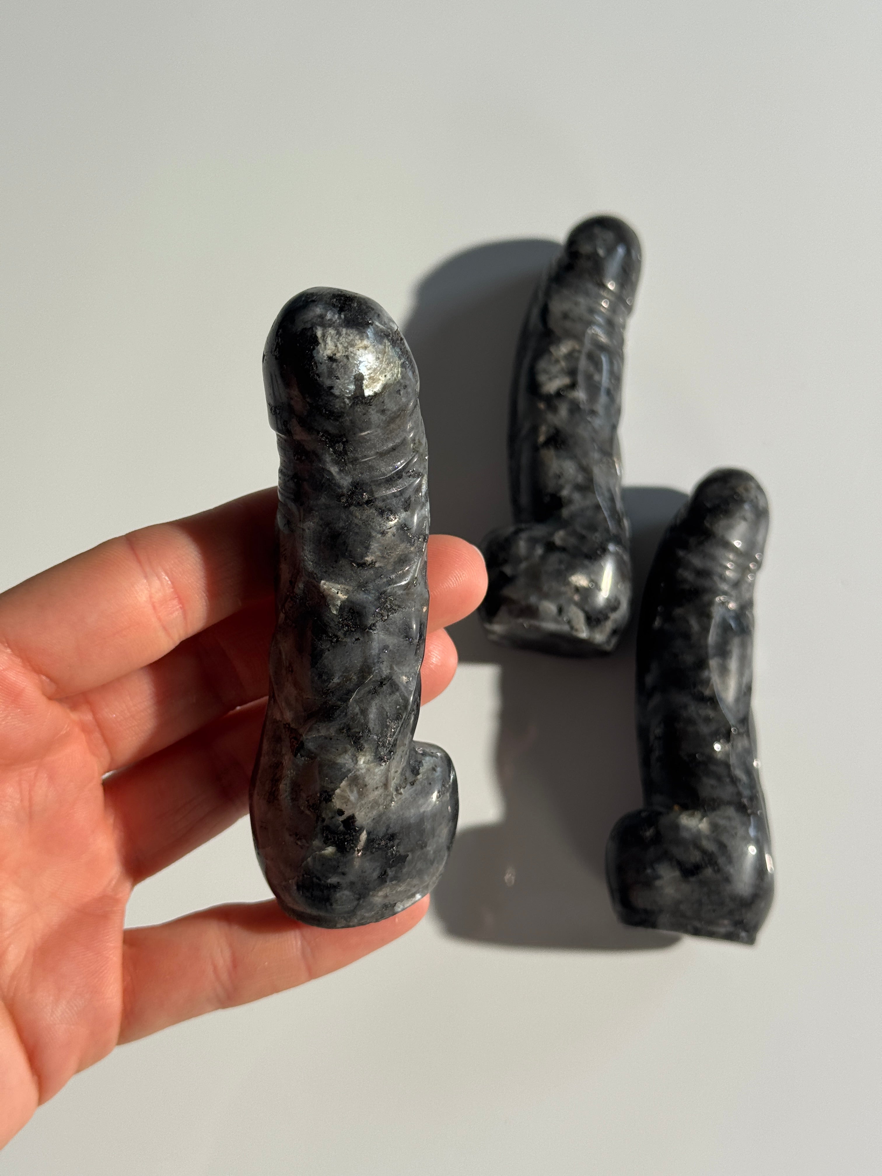 Larvikit Phallus