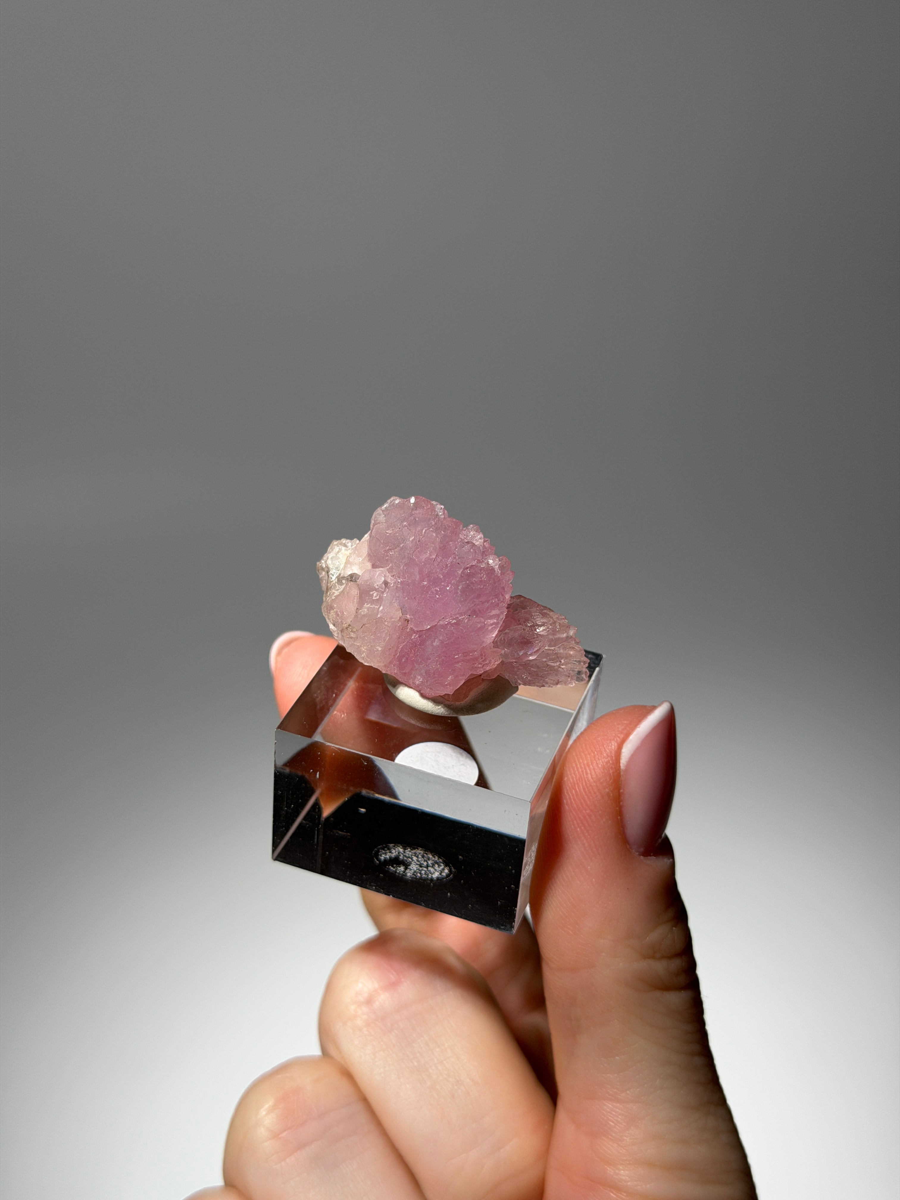 Kristallisierter Rosenquarz Specimen | Rare