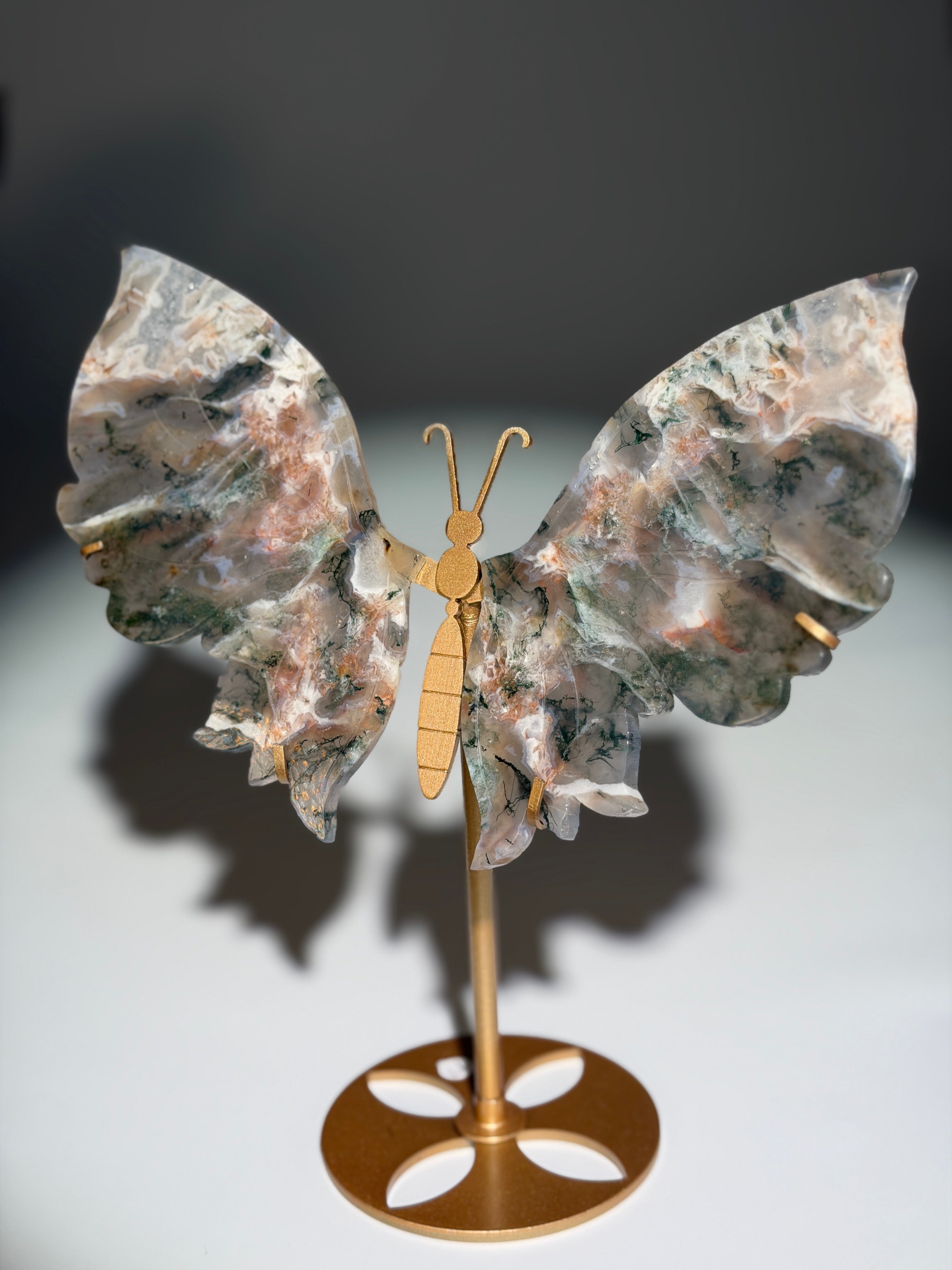 Pink Moosachat Schmetterling | Rare