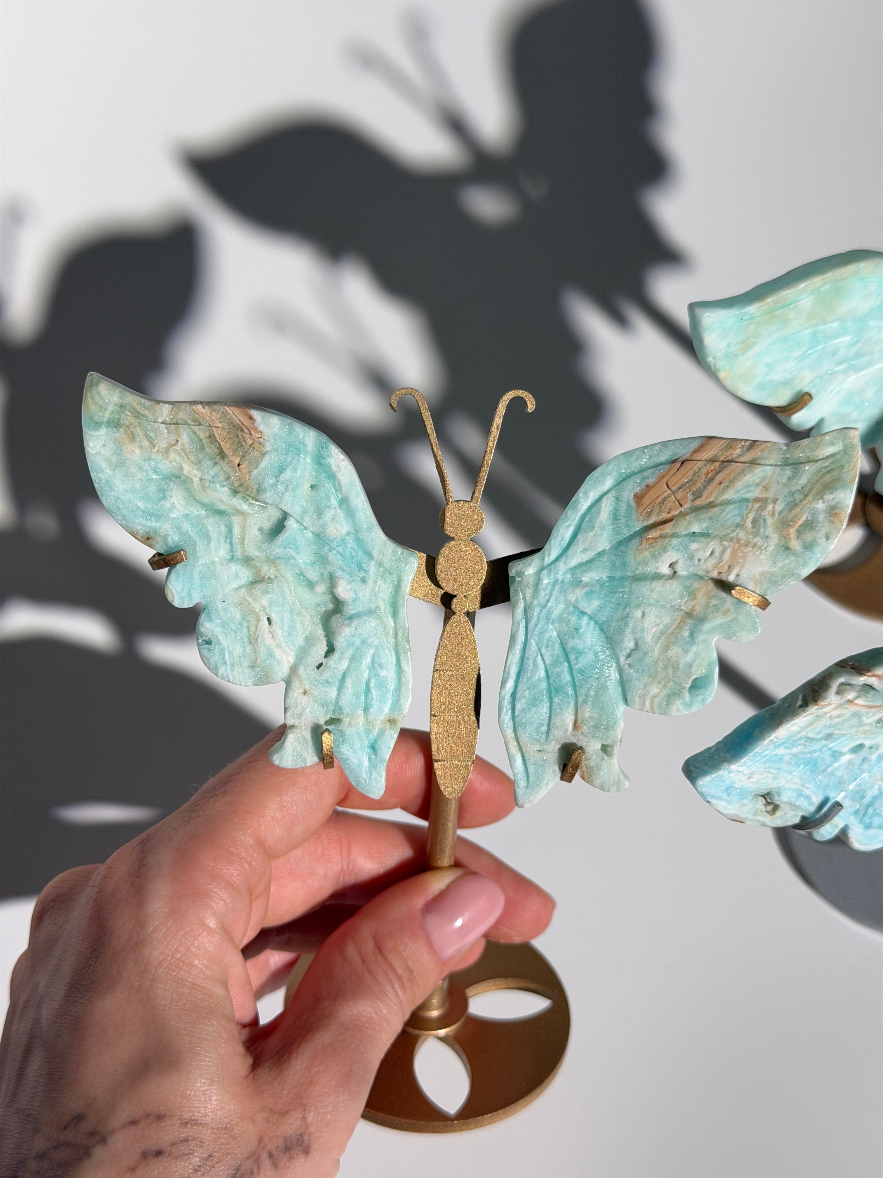 Karibischer Calcit Schmetterling