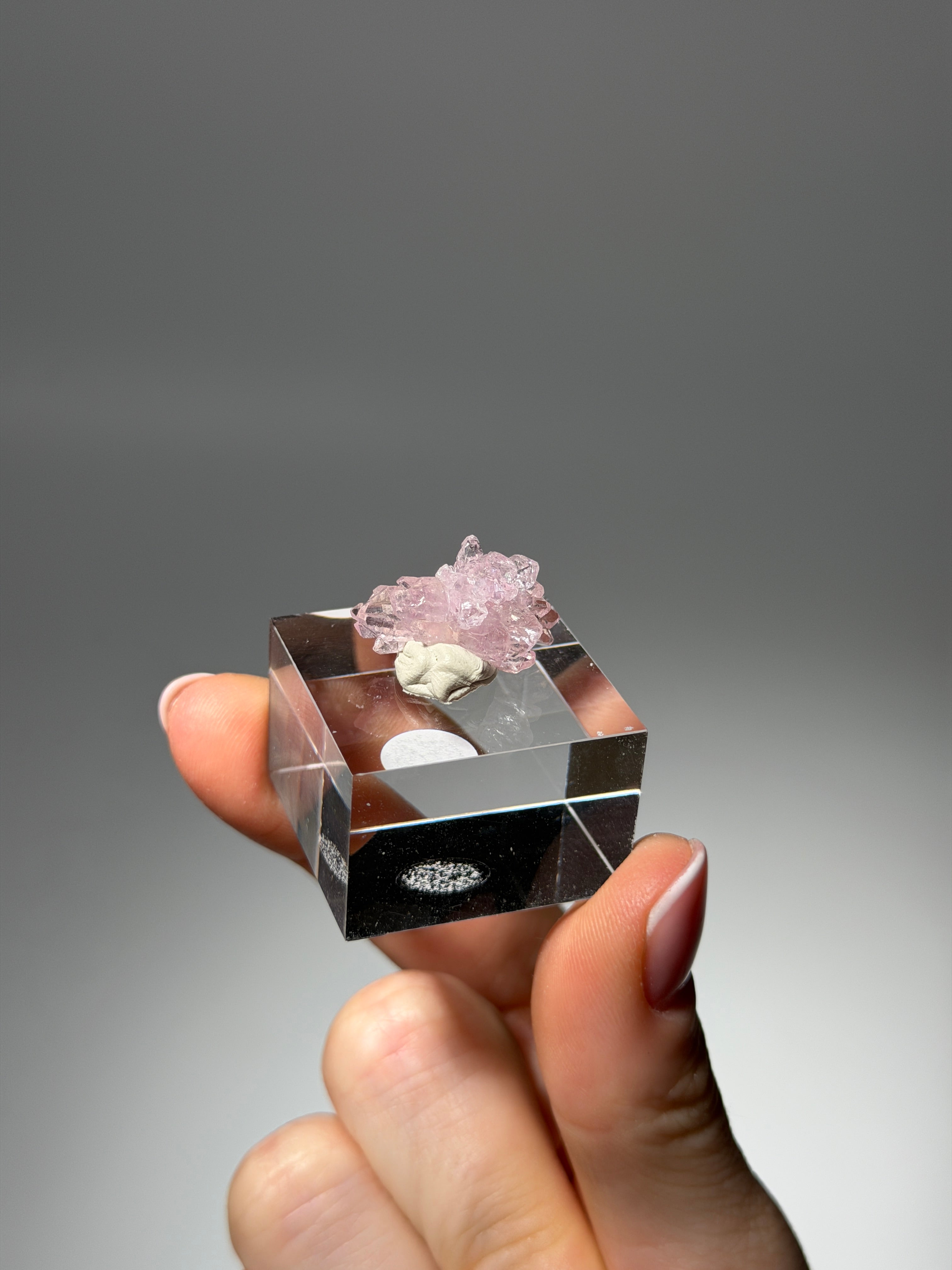 Kristallisierter Rosenquarz Specimen | Rare