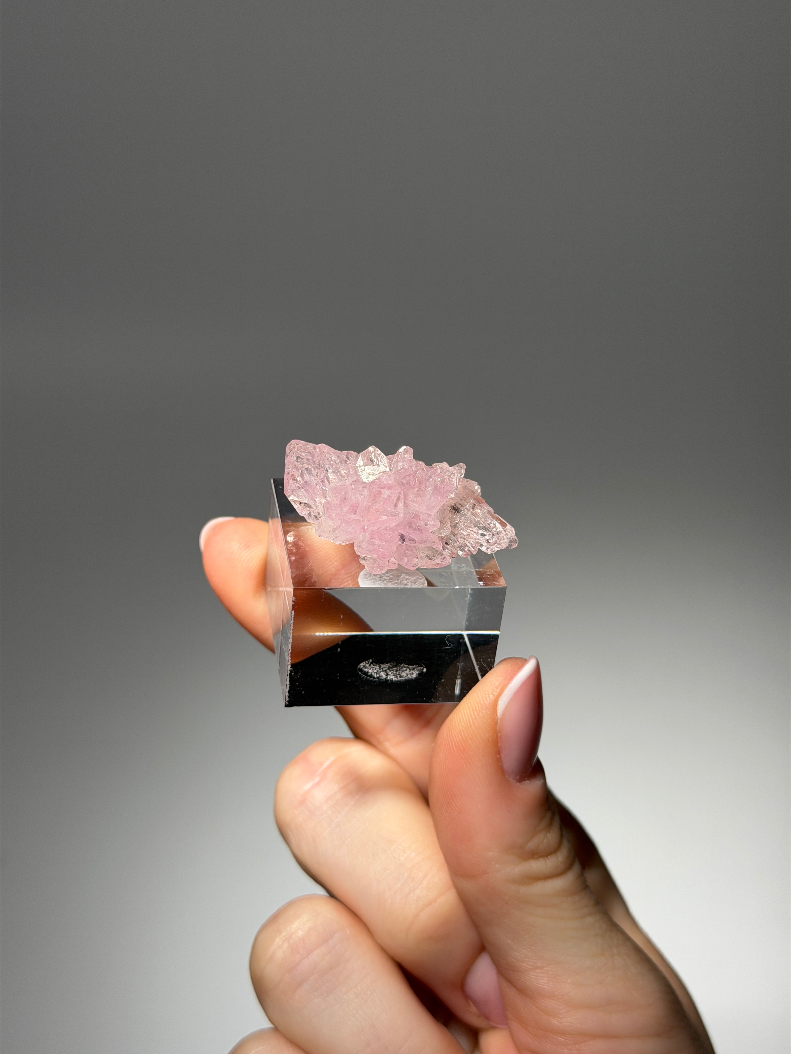 Kristallisierter Rosenquarz Specimen | Rare