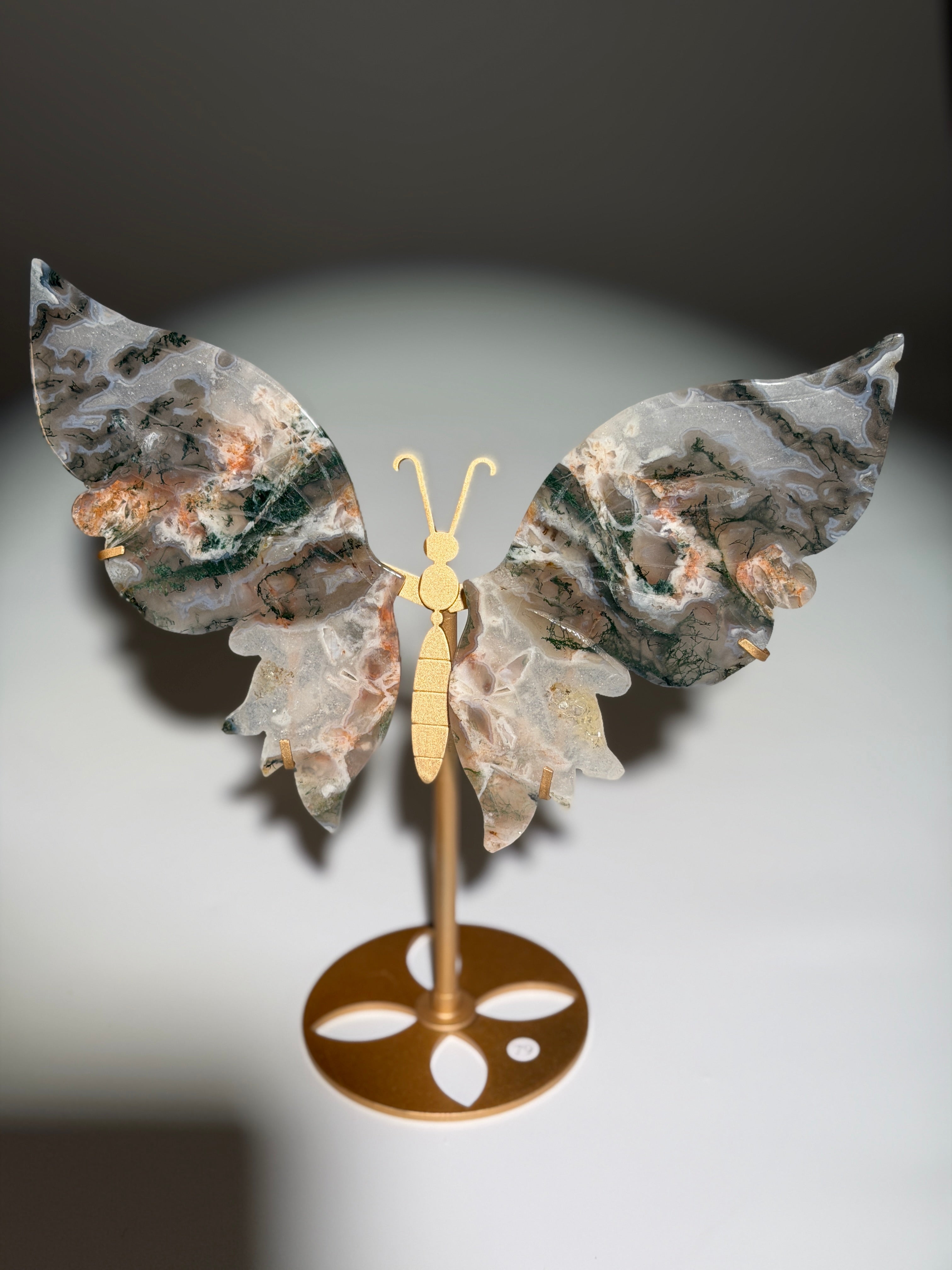 Pink Moosachat Schmetterling | Rare
