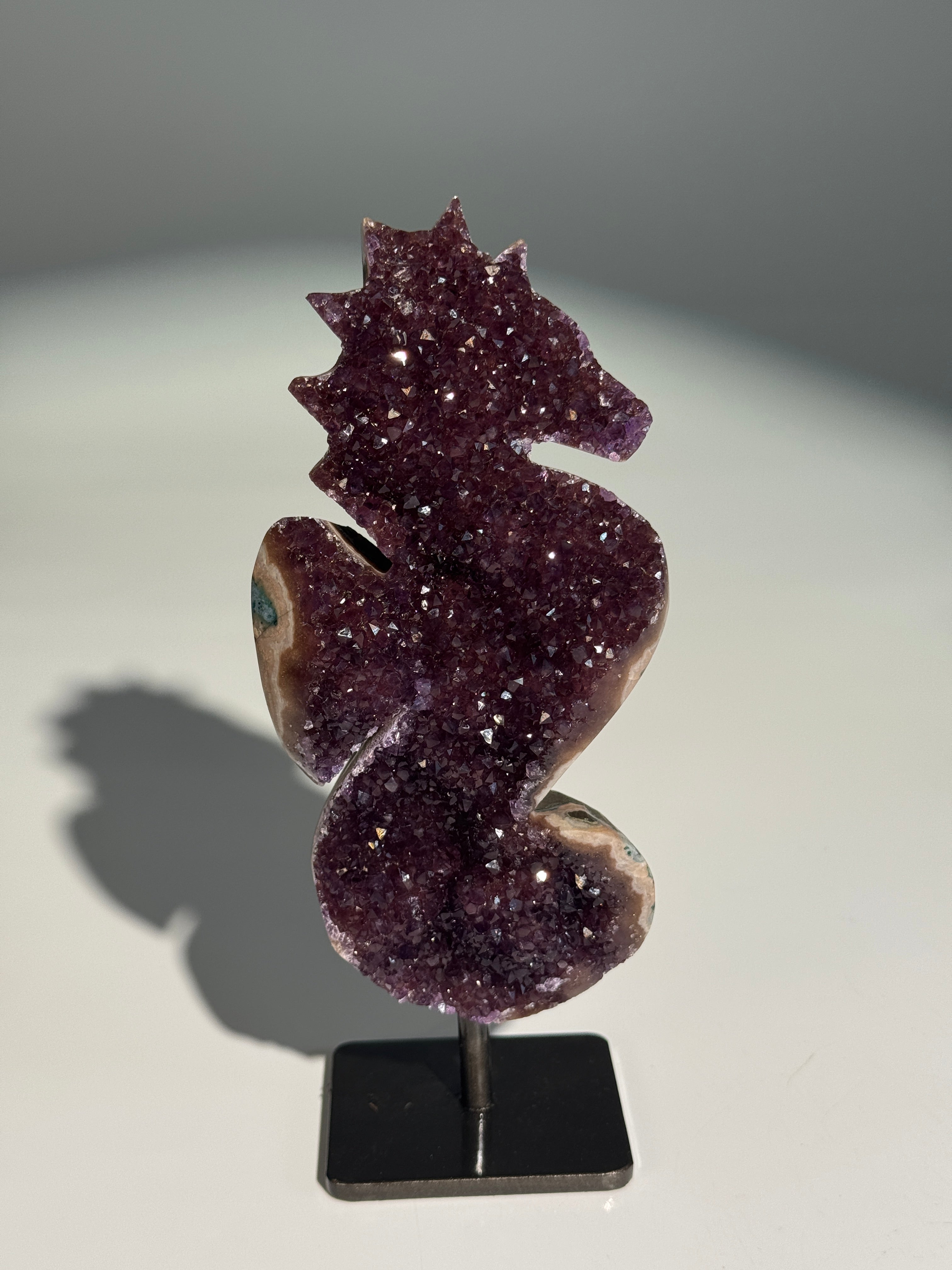 Amethyst / Achat Seepferdchen