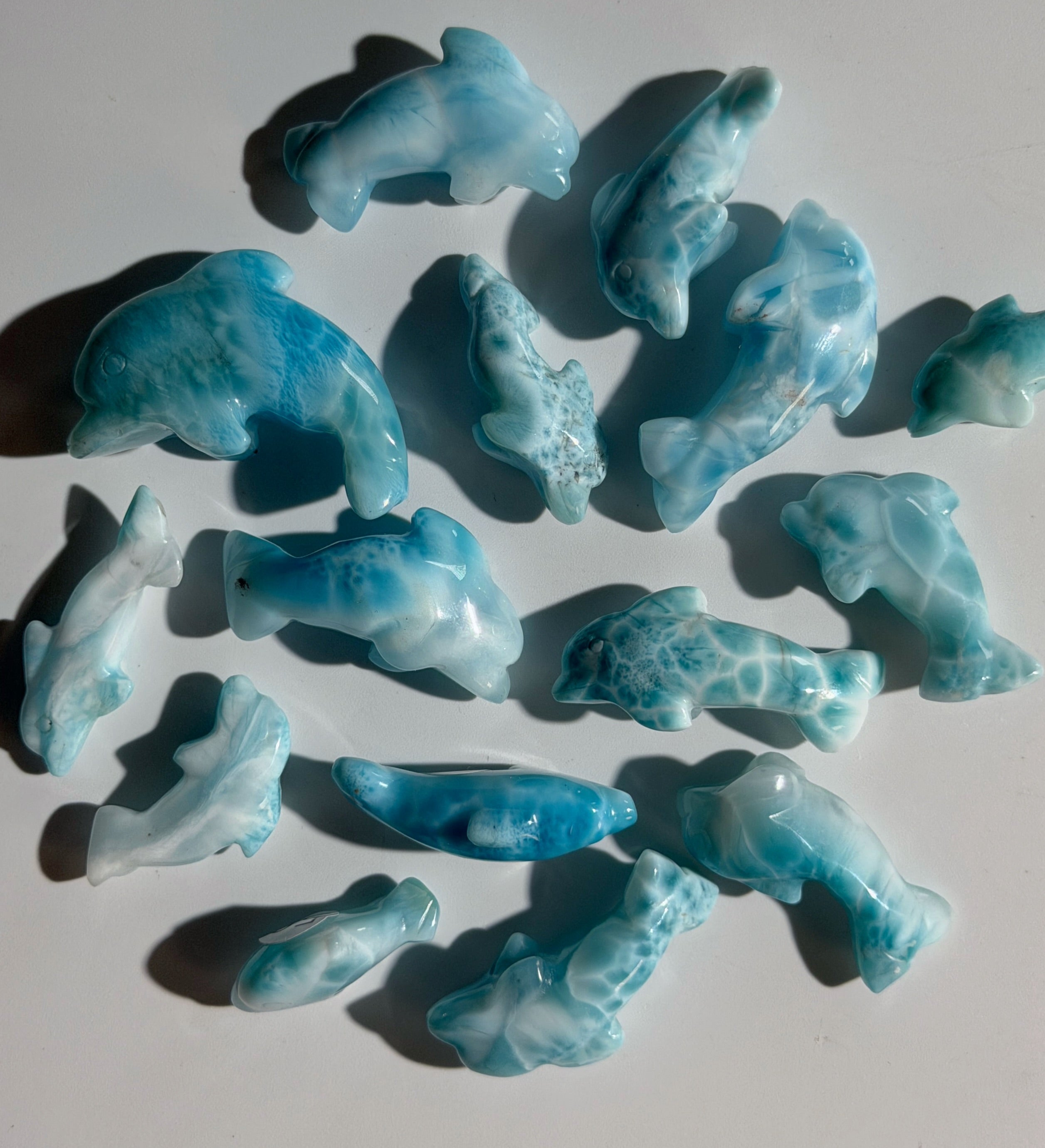 Larimar Delfin | High Quality