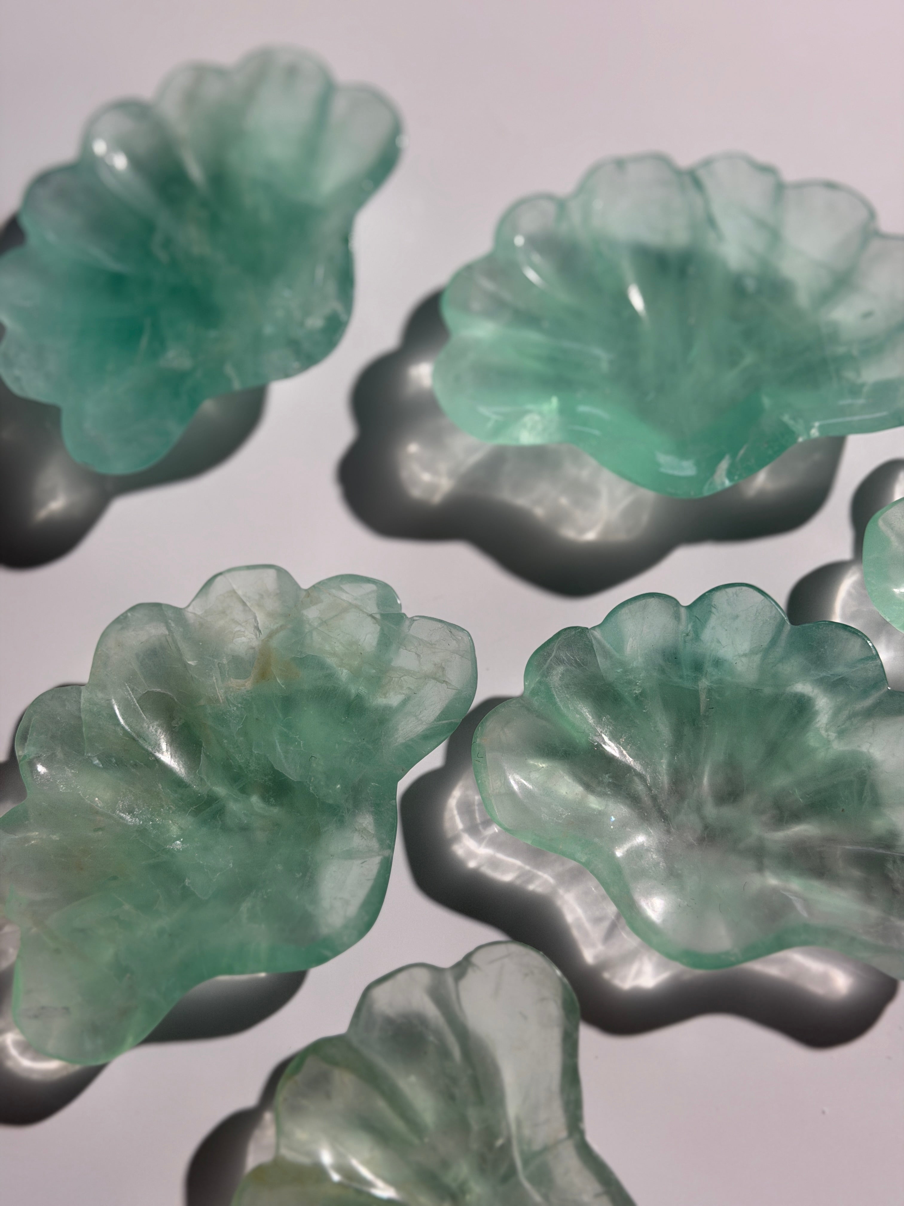 Fluorit Schale Muschel | High Quality